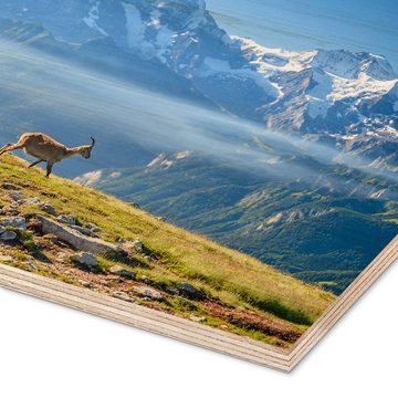 Posterlounge Holzbild Marcel Gross, Steinbock vor Eiger, Mönch und Jungfrau, Fotografie
