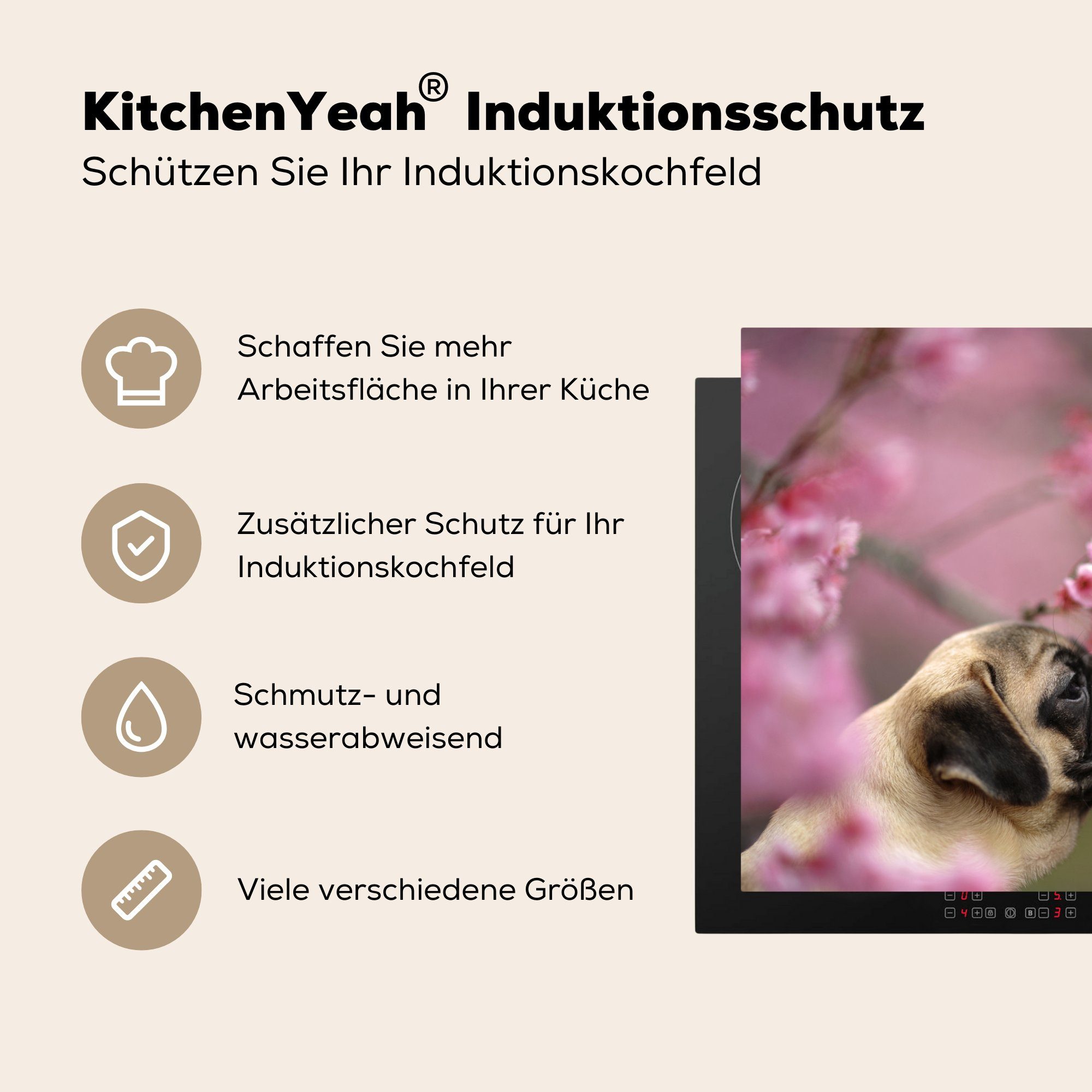 Sakura (1 Vinyl, 81x52 küche, cm, Ceranfeldabdeckung MuchoWow die für tlg), Induktionskochfeld Herdblende-/Abdeckplatte Mops Schutz - - Frühling,