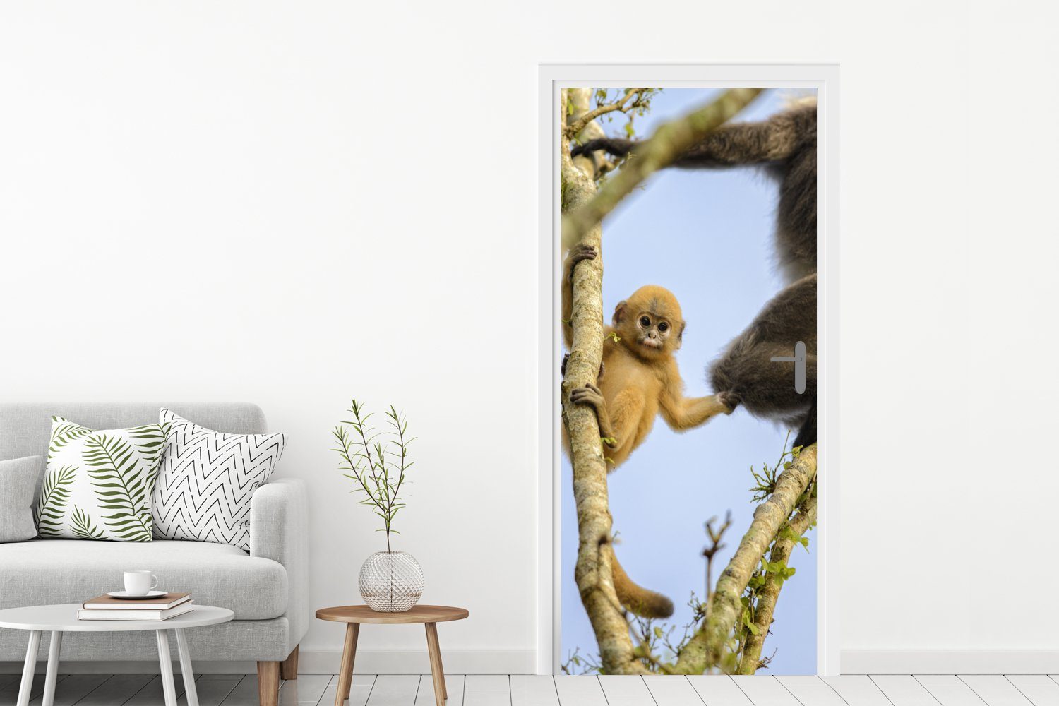 MuchoWow Türtapete Junger Affe schaut Türaufkleber, Kamera, für die in Matt, cm 75x205 Tür, (1 Fototapete bedruckt, St)