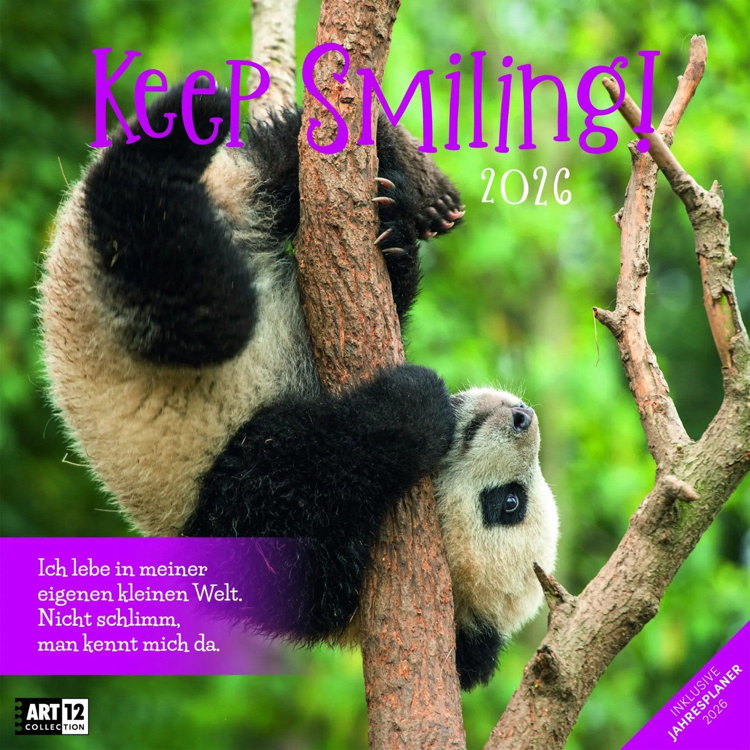 Ackermann Wandkalender Keep Smiling Broschürenkalender 2026 - 30x30 - Art12