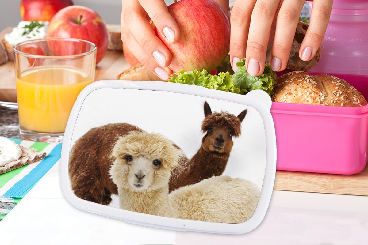MuchoWow Brotbox Kunststoff - Tier Brotdose rosa Mädchen, Snackbox, Lunchbox Lama (2-tlg), Erwachsene, - für Kinder, Kunststoff, Mantel,