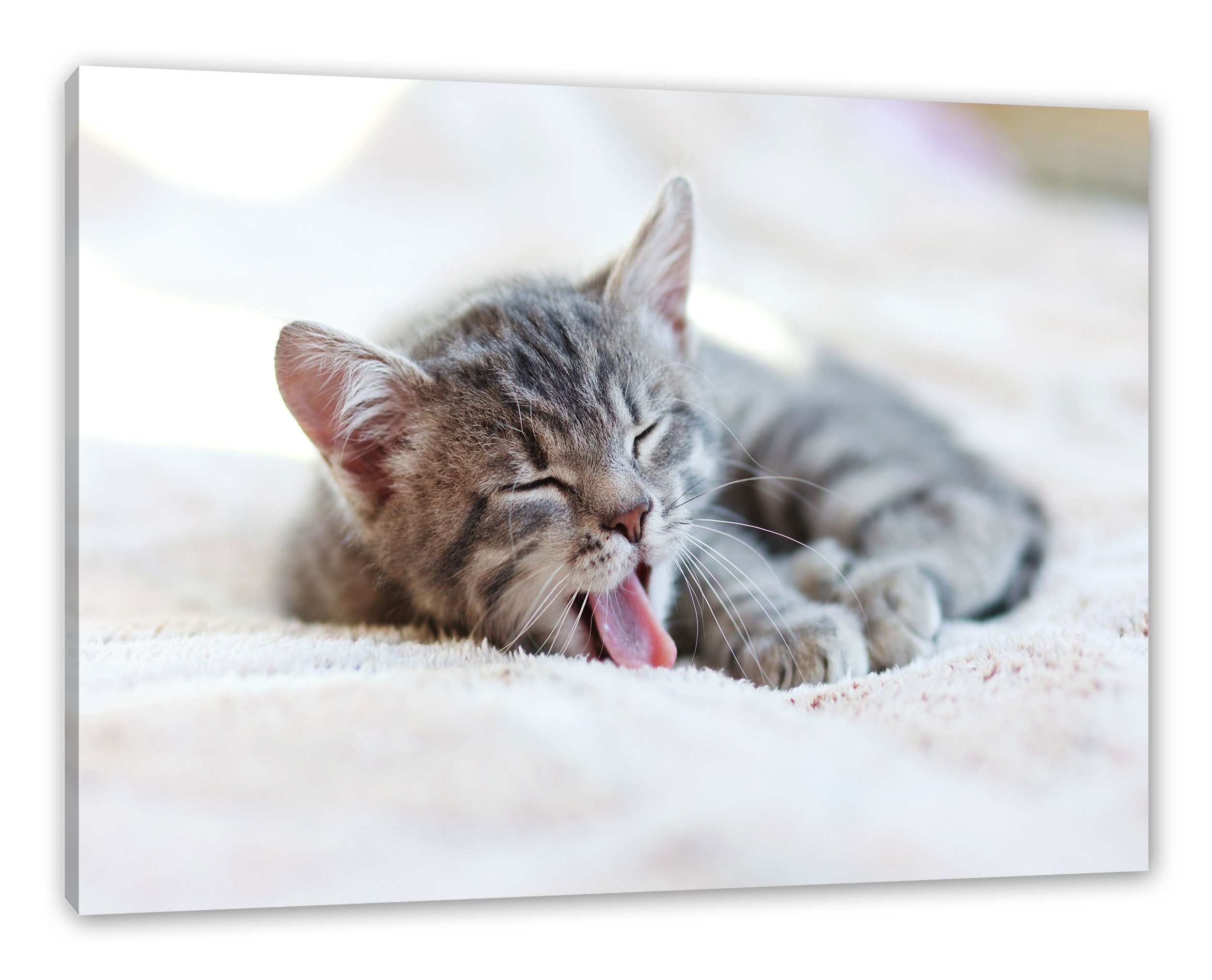 Pixxprint Leinwandbild Kleines Kätzchen, Kleines Kätzchen (1 St), Leinwandbild fertig bespannt, inkl. Zackenaufhänger