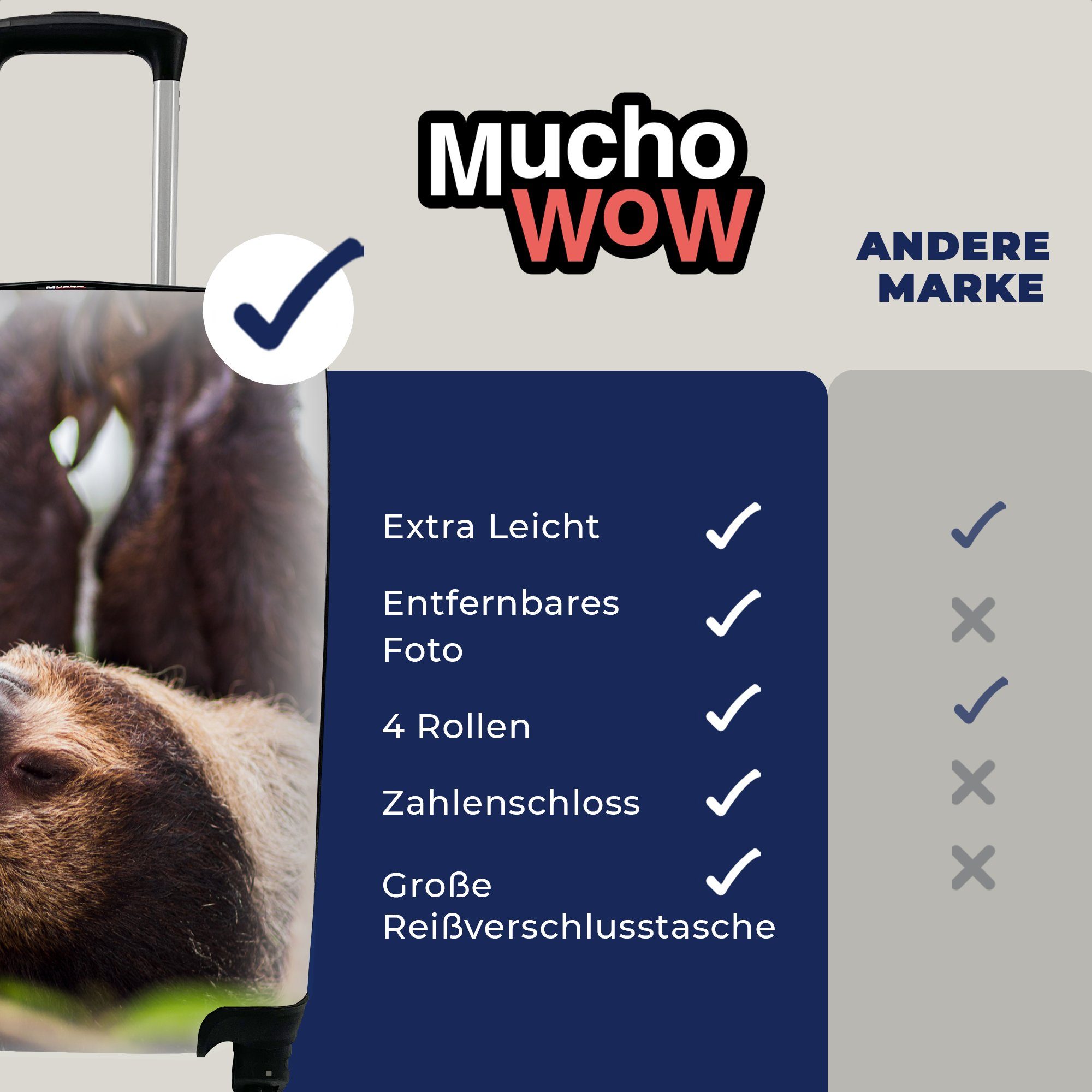 hängendes Ein Faultier Rollen, kopfüber 4 für MuchoWow nächster Handgepäck Reisekoffer aus mit rollen, Ferien, Reisetasche Nähe, Handgepäckkoffer Trolley,