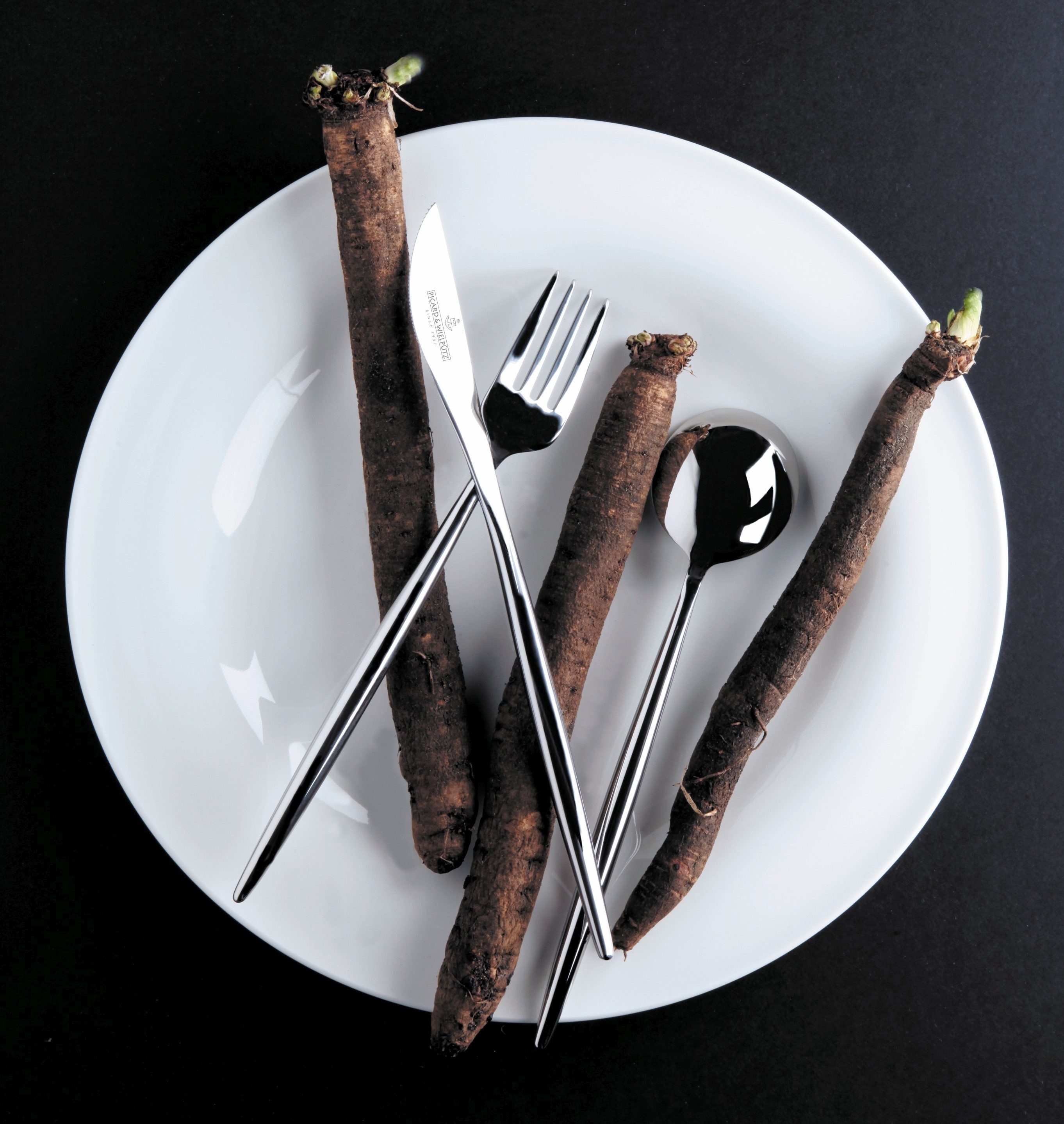 Picard & Wielpütz Solingen Besteck-Set Lotus, wahlweise als 24-, 30- oder 60-teiliges Set erhältlich (24-tlg), 6 Personen, Chromnickelstahl 18/10, modernes und außergewöhnliches Design