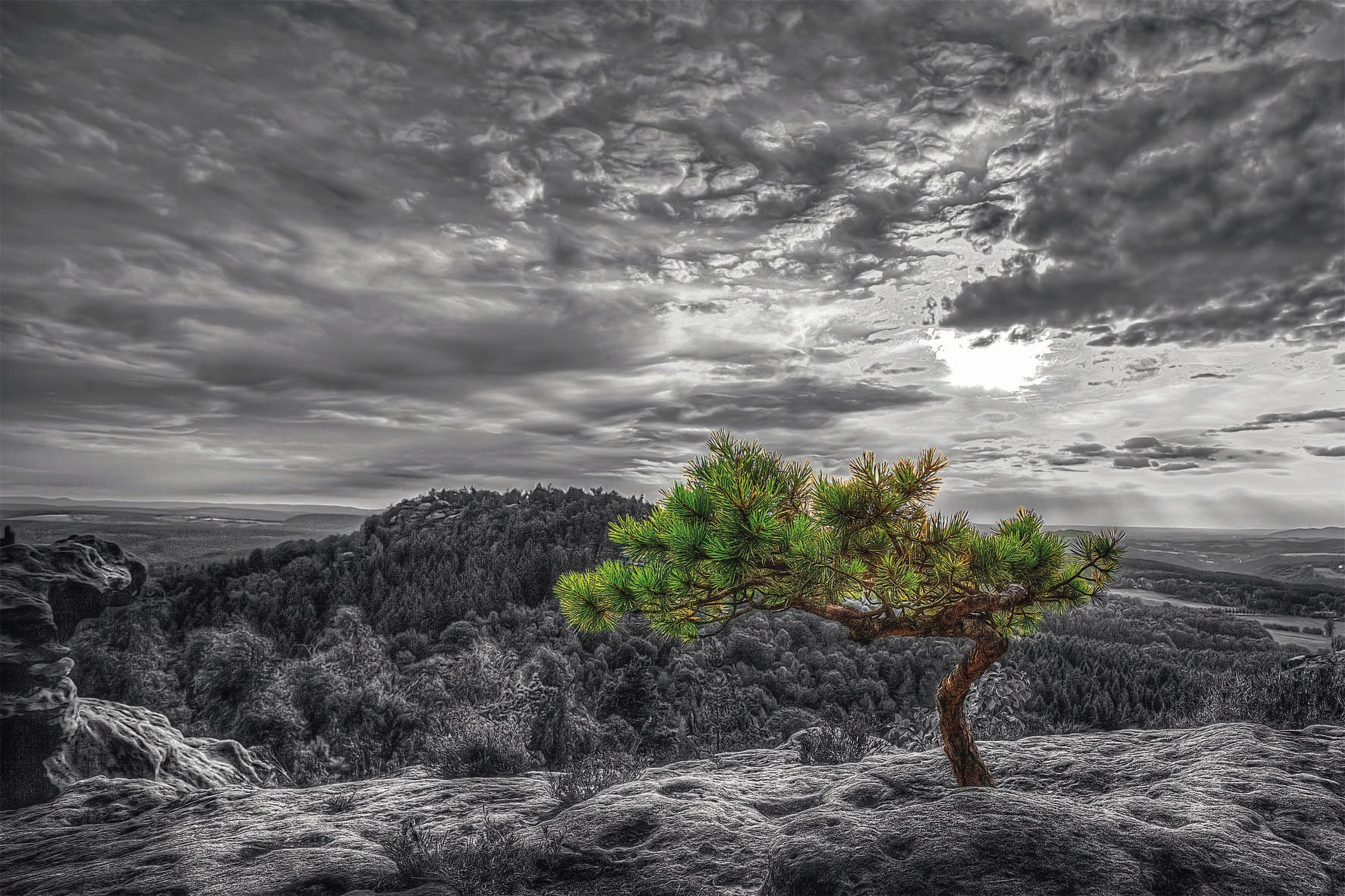 Bönninghoff Glasbild »Glasbild ca. 80x120cm«, (1 Stück) online kaufen