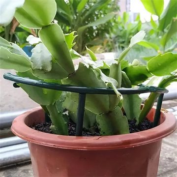 RefinedFlare Rankhilfe Pflanzenstützpfähle Garten-Bonsai-Werkzeuge Gartenständer