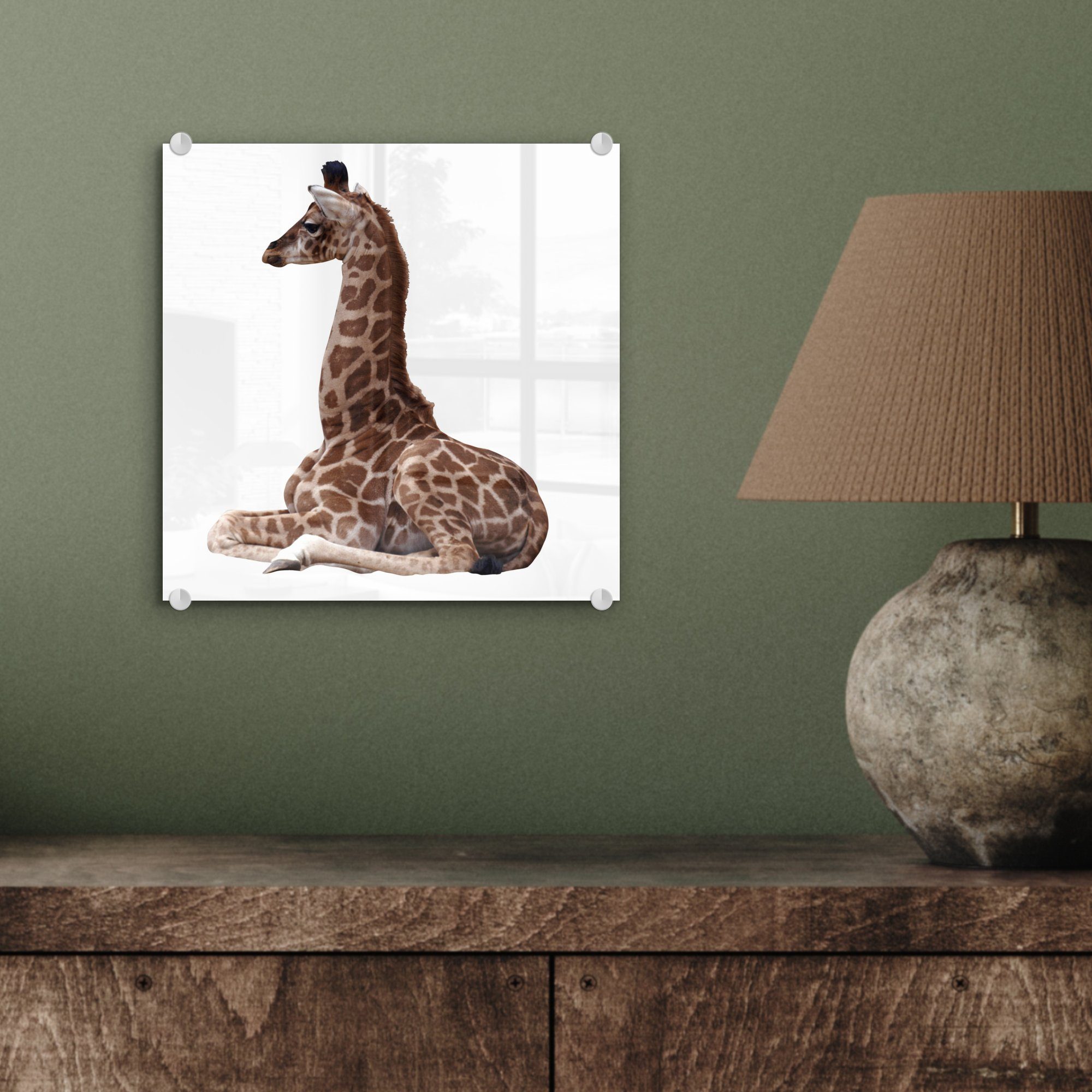 weißem Acrylglasbild Bilder Glas auf St), Glasbilder auf Glas - - Wanddekoration Foto - Baby-Giraffe (1 Hintergrund, Wandbild MuchoWow auf