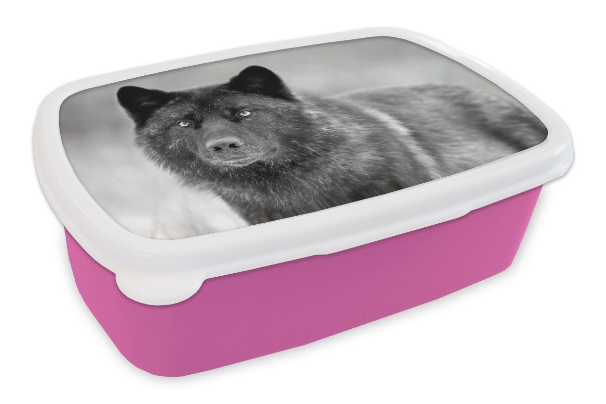 MuchoWow Lunchbox Wolf - Nahaufnahme - Schwarz - Weiß, Kunststoff, (2-tlg), Brotbox für Erwachsene, Brotdose Kinder, Snackbox, Mädchen, Kunststoff rosa