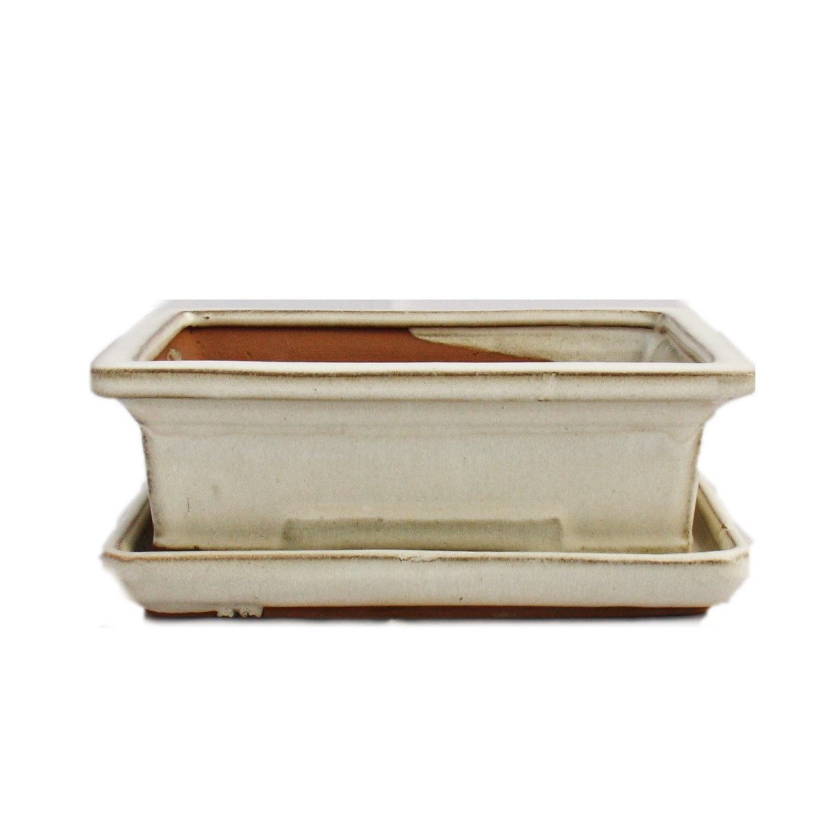 Exotenherz Pflanzschale Bonsai-Schale mit Unterteller Gr. 3 hellbeige eckig günstig online kaufen