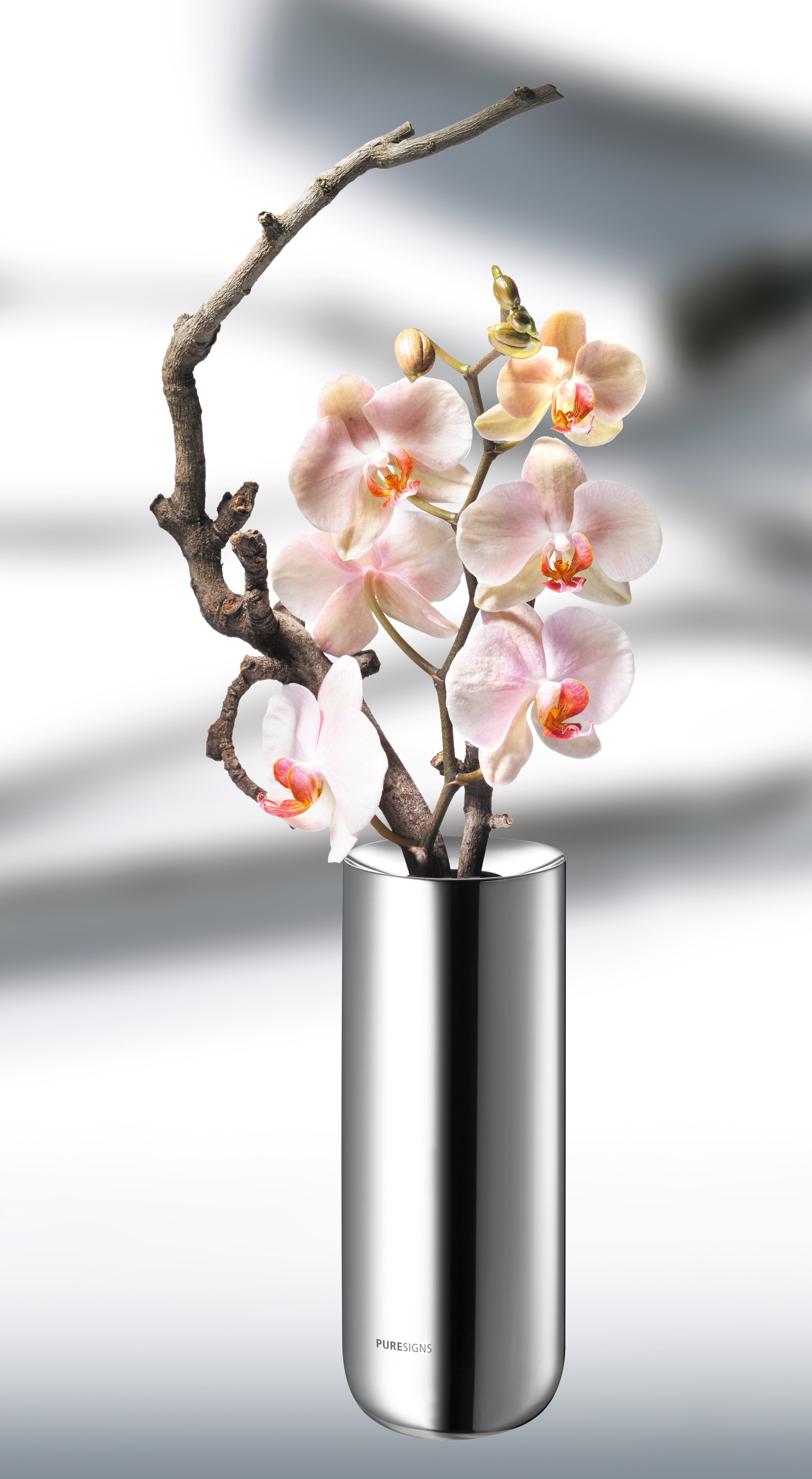 PURESIGNS Tischvase BREEZE (1 St), Höhe günstig online kaufen