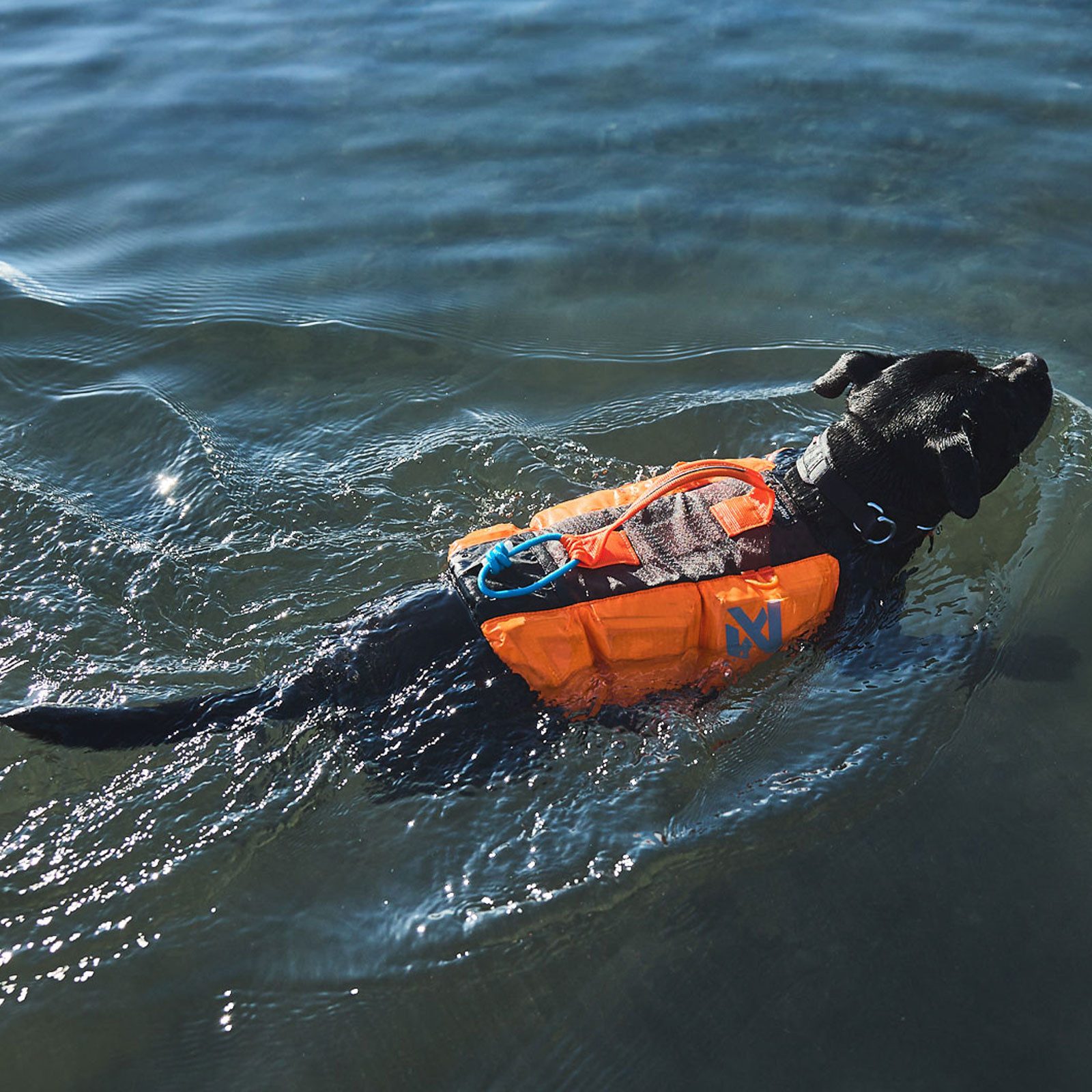 Non-stop dogwear Hundeweste PROTECTOR LIFE JACKET, optimiert Auftrieb, Stabilität und Bewegungsfreiheit