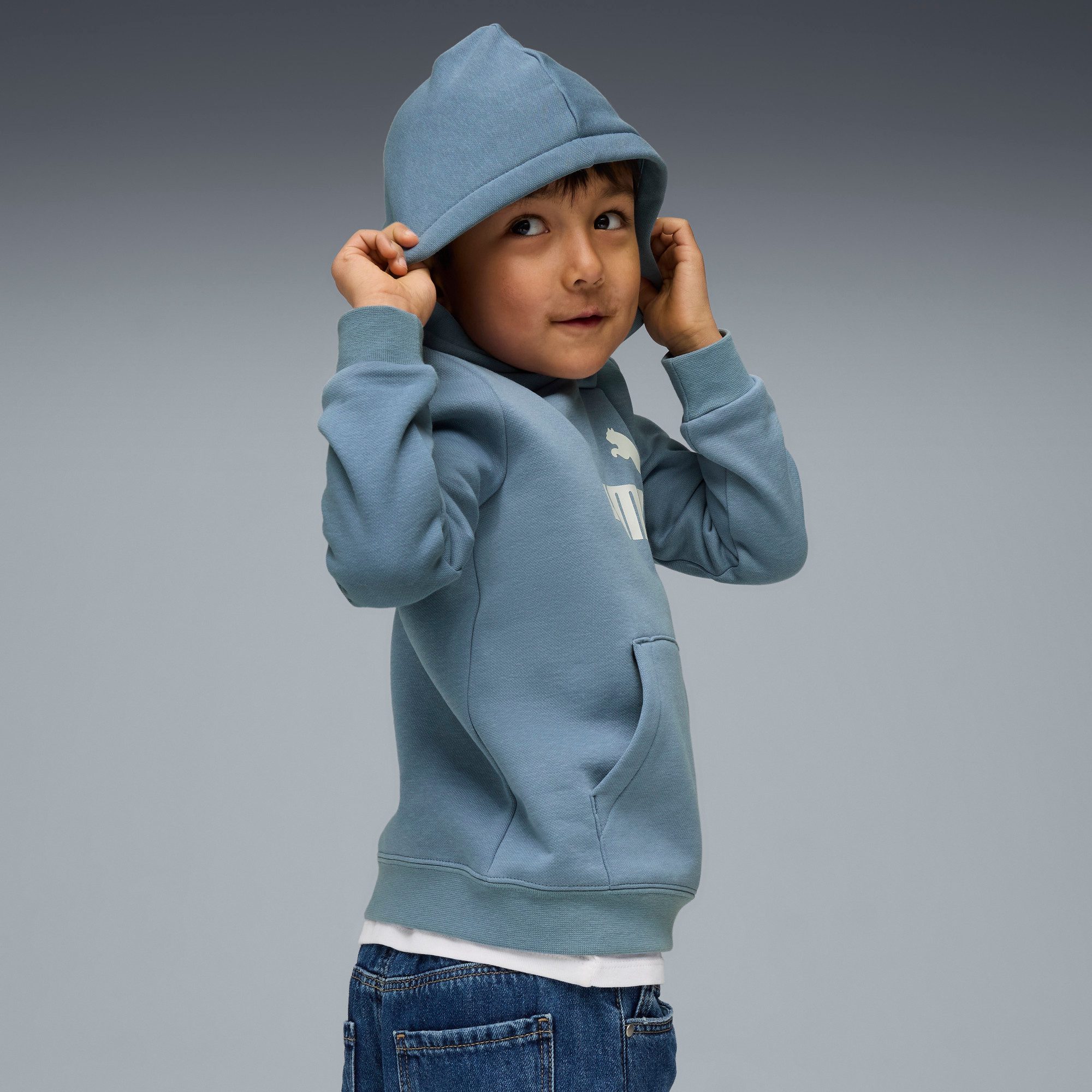 PUMA Kapuzensweatshirt ESS NO. 1 LOGO HOODIE FL PS mit Kapuze, mit gerippten Bündchen, mit Jerseyfutter