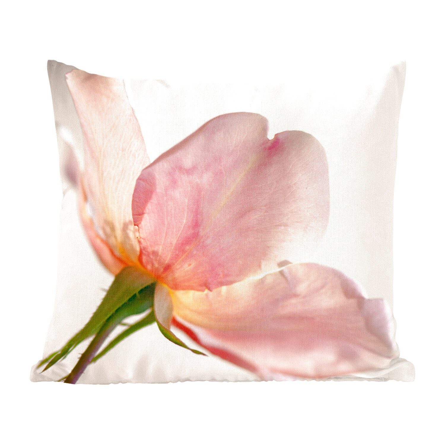 MuchoWow Dekokissen Eine noch junge und empfindliche rosa Rose mit weißem Hintergrund, Zierkissen mit Füllung für Wohzimmer, Schlafzimmer, Deko, Sofakissen