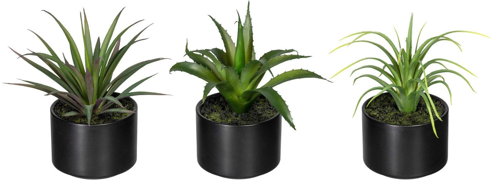 Künstliche Zimmerpflanze Set aus 3er im 15 Creativ Keramiktopf, Agave Aloe, und cm, Sukkulente, Höhe Tillandsie green, Set