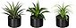Künstliche Zimmerpflanze »Set aus Aloe, Agave und Tillandsie« Sukkulente, Creativ green, Höhe 15 cm, im Keramiktopf, 3er Set, Bild 1