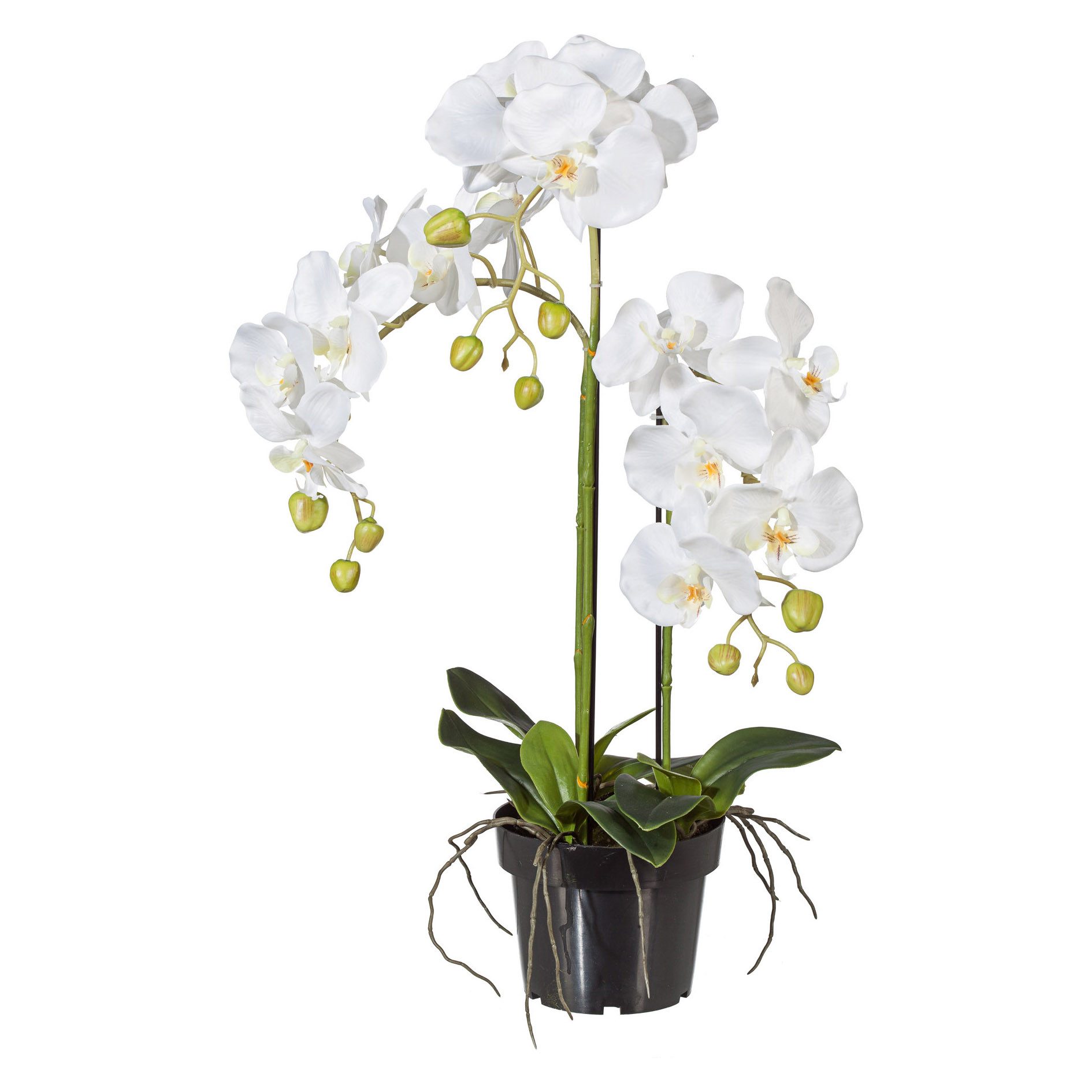 Kunstblume Kunstorchidee Orchidee, Creativ green, Höhe 62 cm. Reduzierter Preis € 39,95. Unverbindliche Preisempfehlung € 49,99