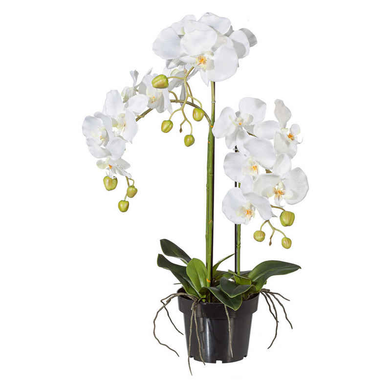 Kunstblume Kunstorchidee Orchidee, Creativ green, Höhe 62 cm