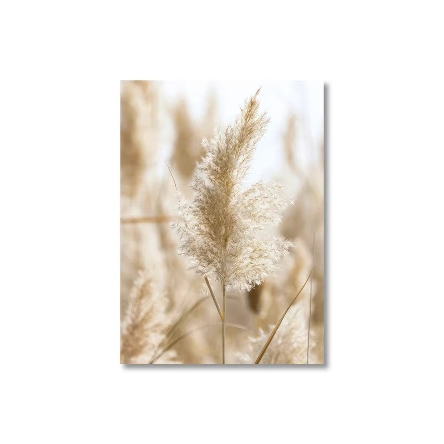 TPFLiving Kunstdruck OHNE RAHMEN, See See Brücke Leinwand Malerei Herbst Landschaft Strand (Leinwandbild XXL), Farben: Farben: beige, weiß -Größe: 20x30cm