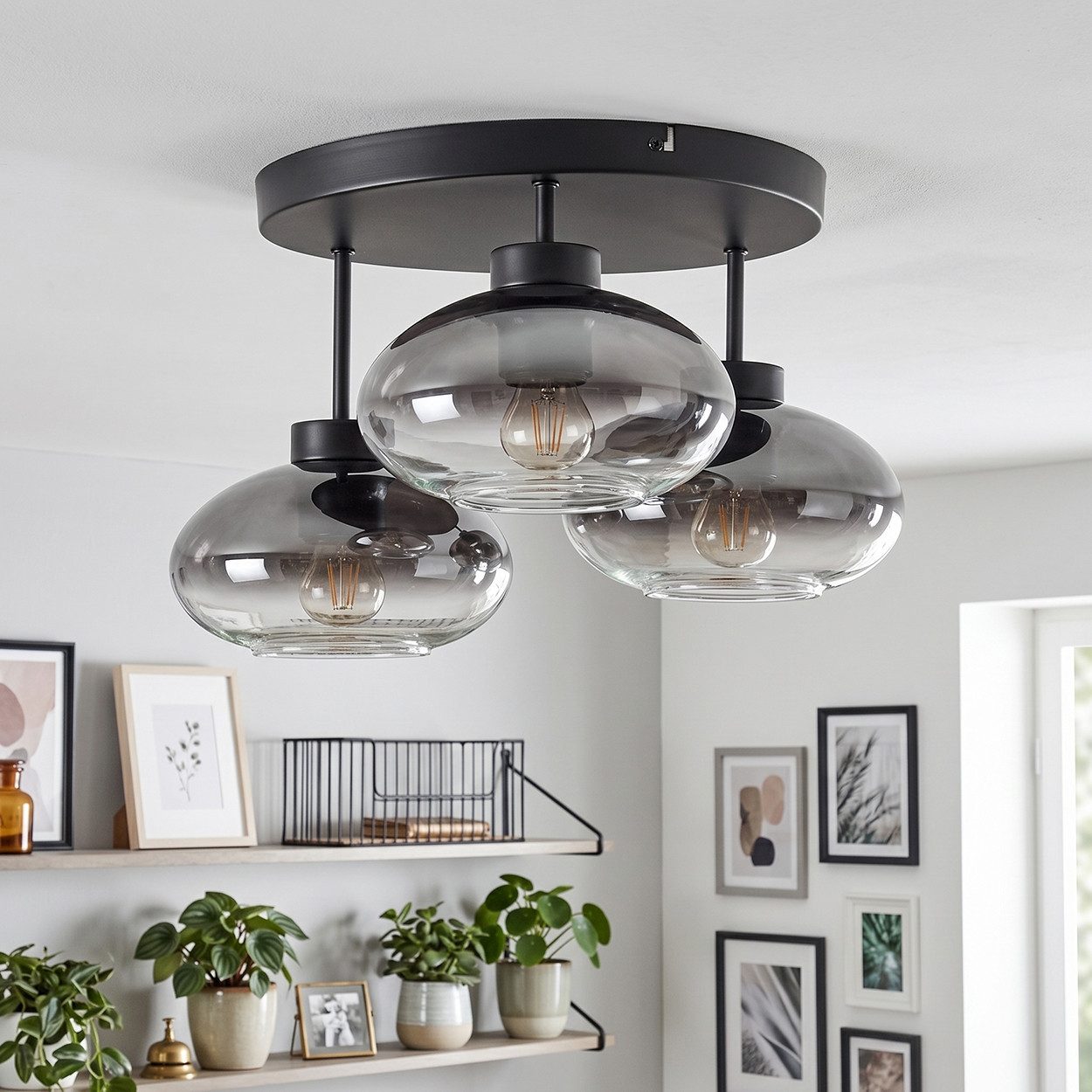 hofstein Deckenleuchte moderne Deckenlampe aus Metall/Glas in Schwarz/Rauchfarben, ohne Leuchtmittel, Leuchte mit Schirmen aus Rauchglas (18,5 cm), 3 x E27 – Bild 2 von 5