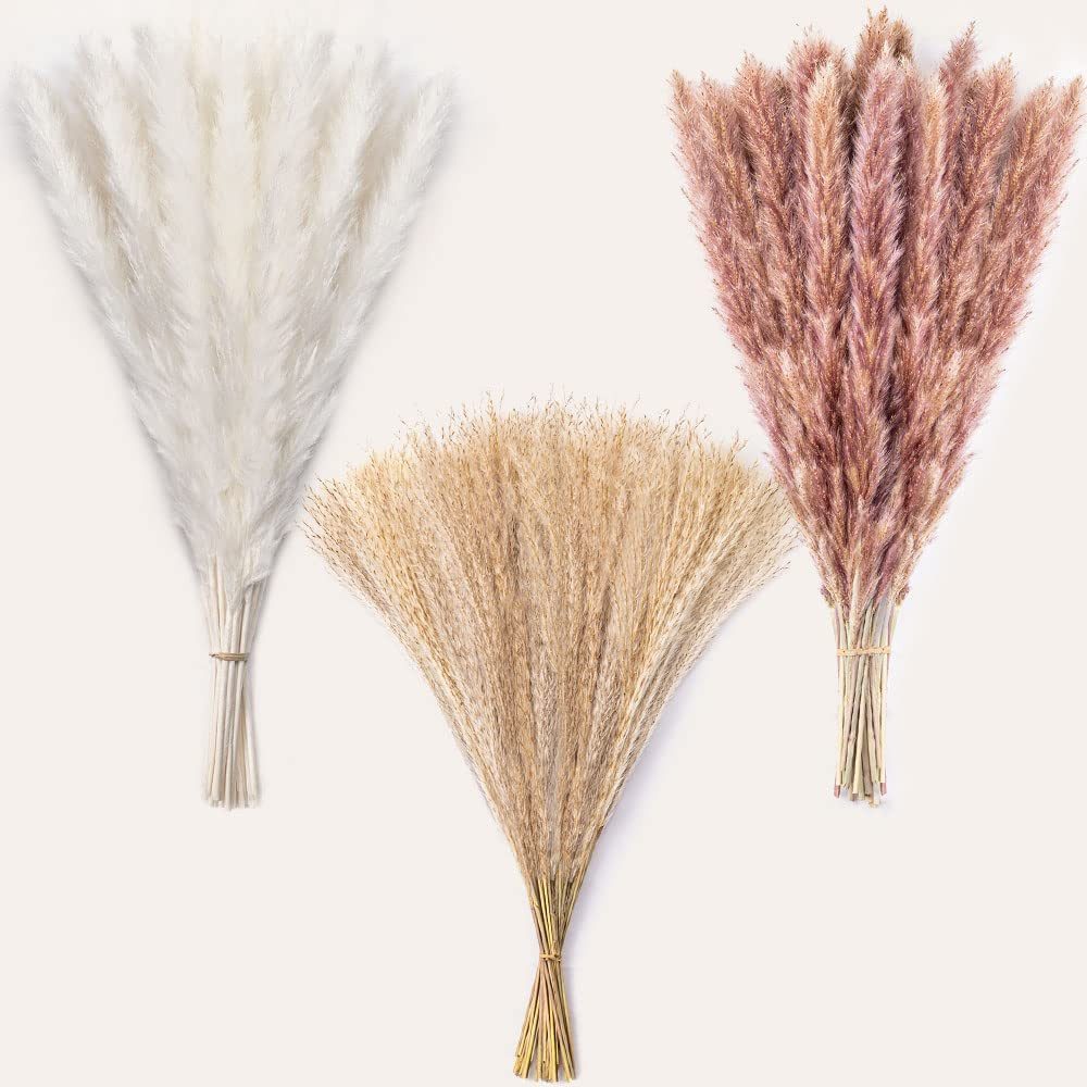 Trockenblume Pampasgras Getrocknetes, 62 Stück Trockenblumen Pampasgras Getrocknet, ibettertec, Getrocknete Blumen für Hochzeit Boho Deko Wohnzimmer. Reduzierter Preis € 10,99. Unverbindliche Preisempfehlung € 29,99