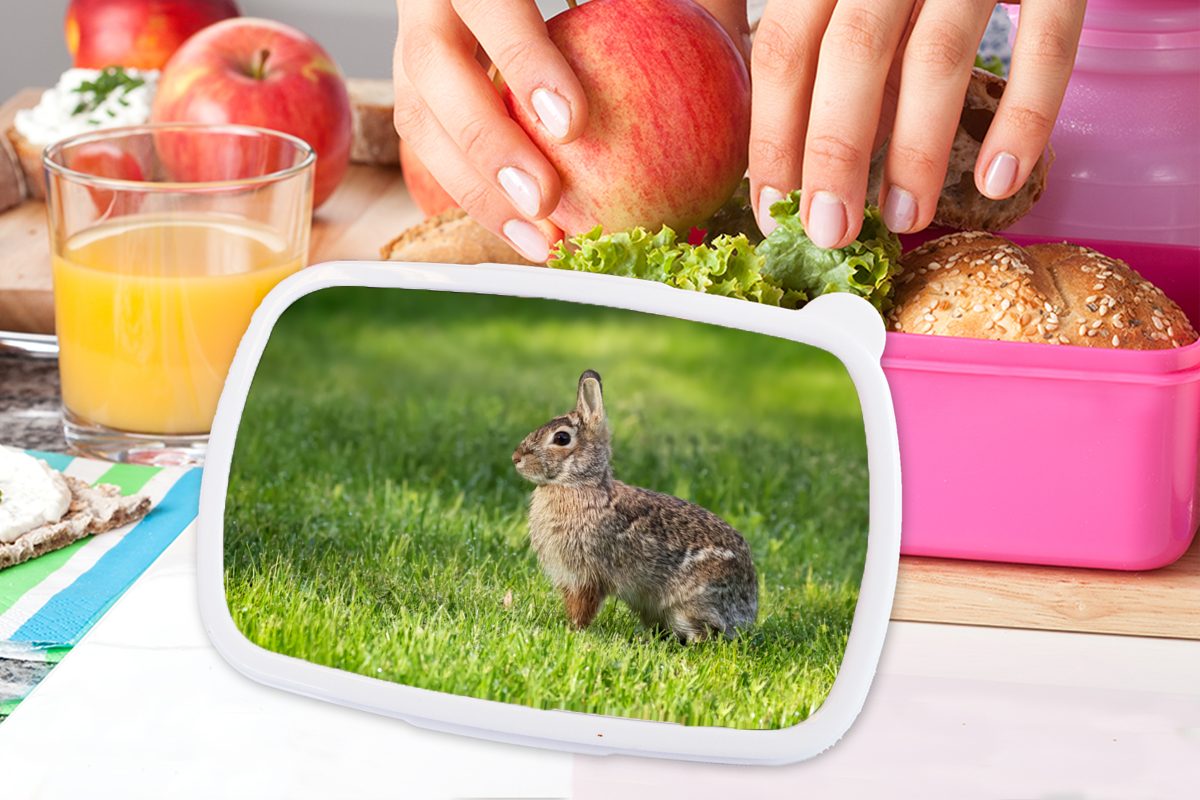 Kinder, rosa Erwachsene, MuchoWow Kaninchen Brotbox Snackbox, Gras Lunchbox - (2-tlg), Tier, für Kunststoff Mädchen, Kunststoff, - Brotdose