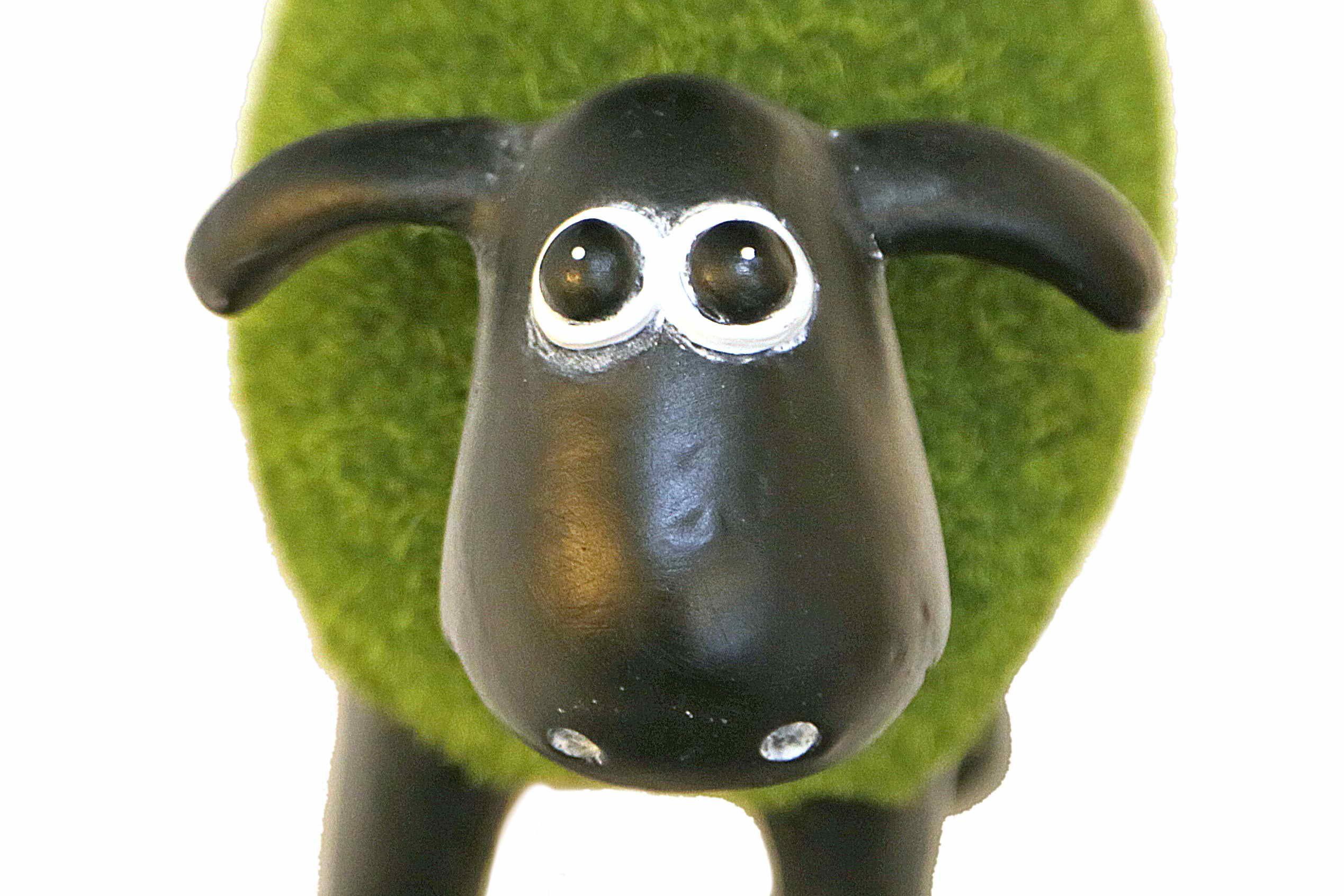 Casa Collection by Jänig Dekofigur Schaf grün (mit Rasenfell) stehend, Höhe: 14,5cm, Tierfigur, Dekofigur Schaf