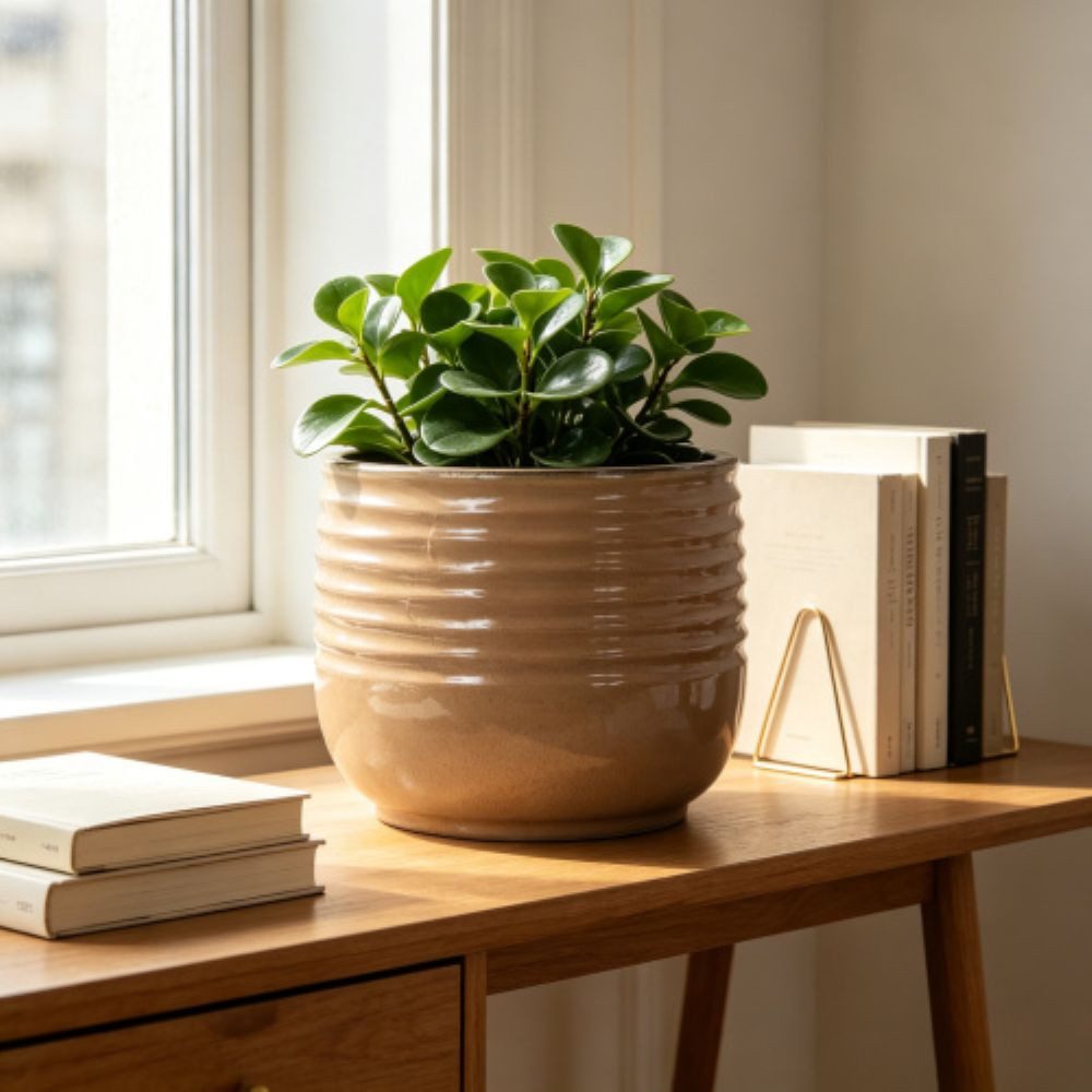 Rolipo Blumentopf Blumentopf Keramik Pflanztopf 20 cm mit Ablaufloch und Wellenrillen (1 St), Pflanzgefäß geeignet für Zimmerpflanzen