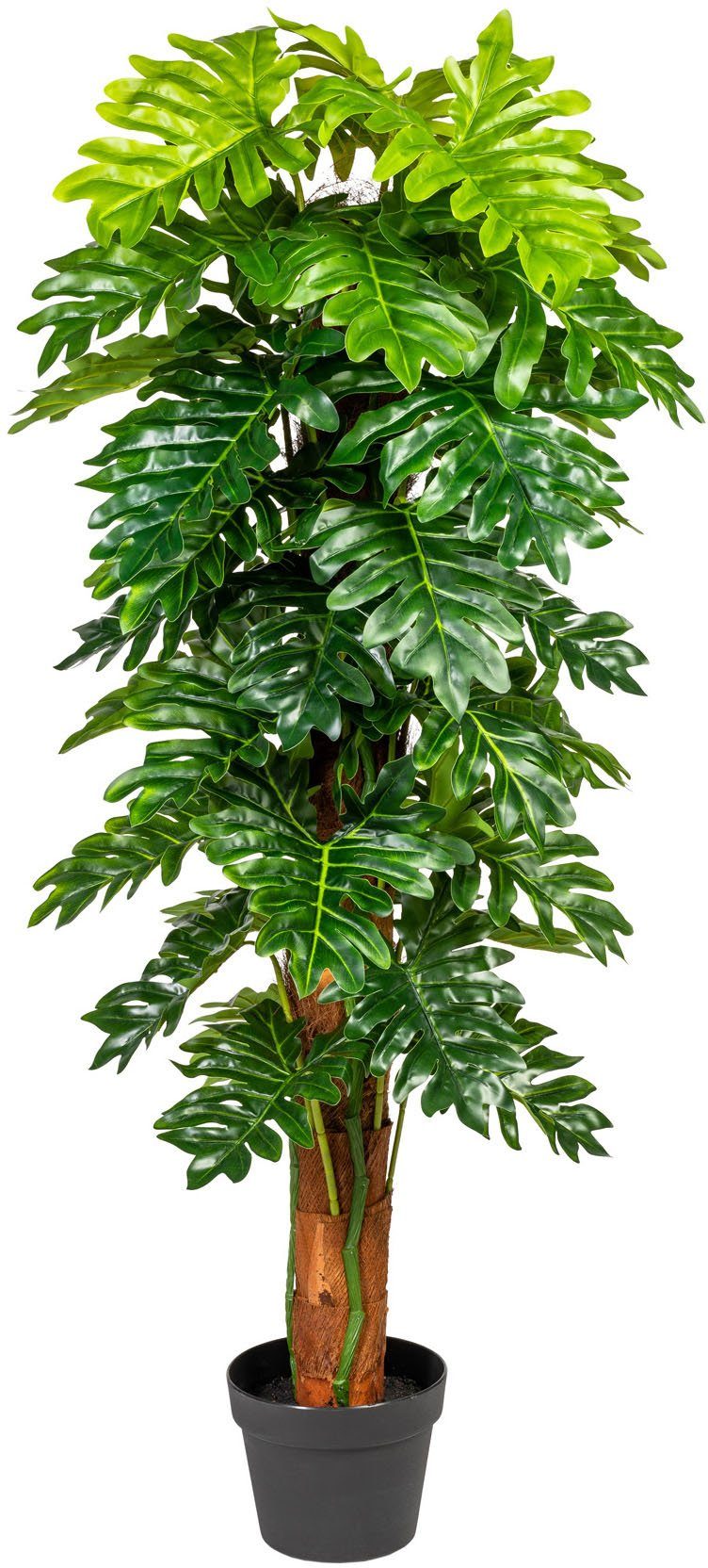 Künstliche Zimmerpflanze Monsterapflanze Grünpflanze, Creativ green, Höhe  120 cm