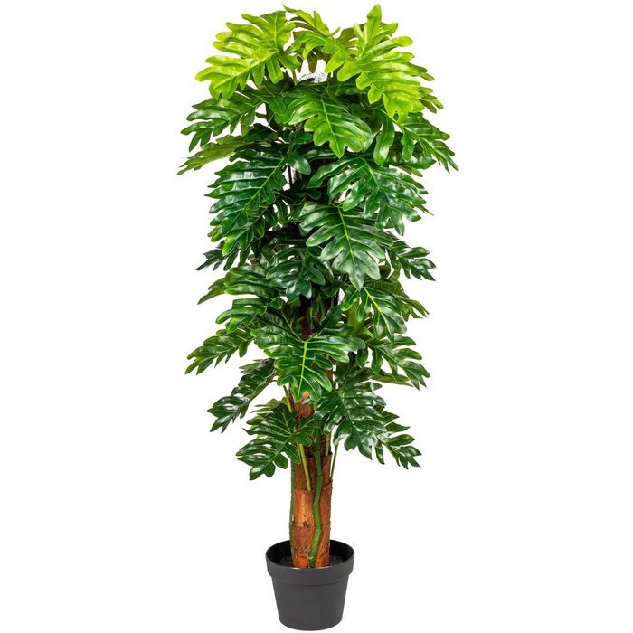 Künstliche Zimmerpflanze Monsterapflanze Grünpflanze Creativ green Höhe 120 cm