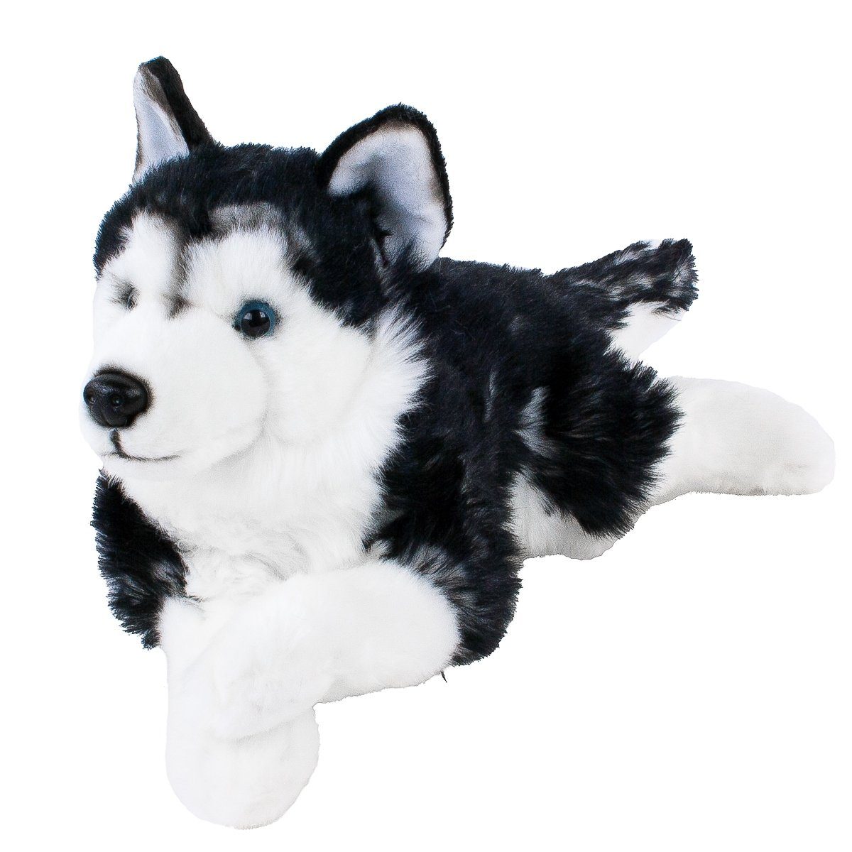 Teddys Rothenburg Kuscheltier Sibirischer Husky liegend schwarz/weiß 38 cm Plüschhund Stofftier (Plüschtier, Stoffhund, Plüschhusky)