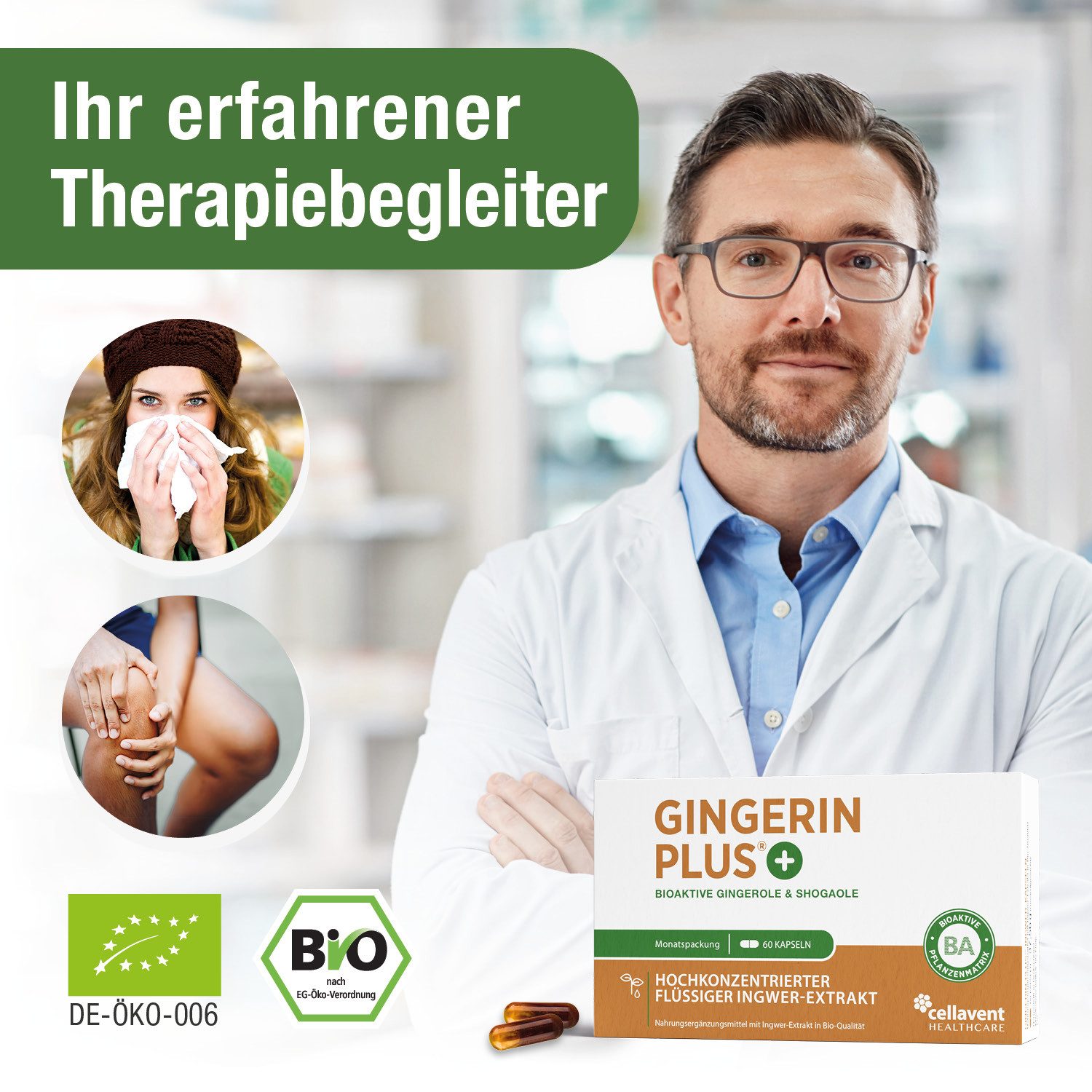 Cellavent Healthcare BIO Ingwer Kapseln - 22.000 mg Ingwerpulver - Gingerin PLUS Kapseln