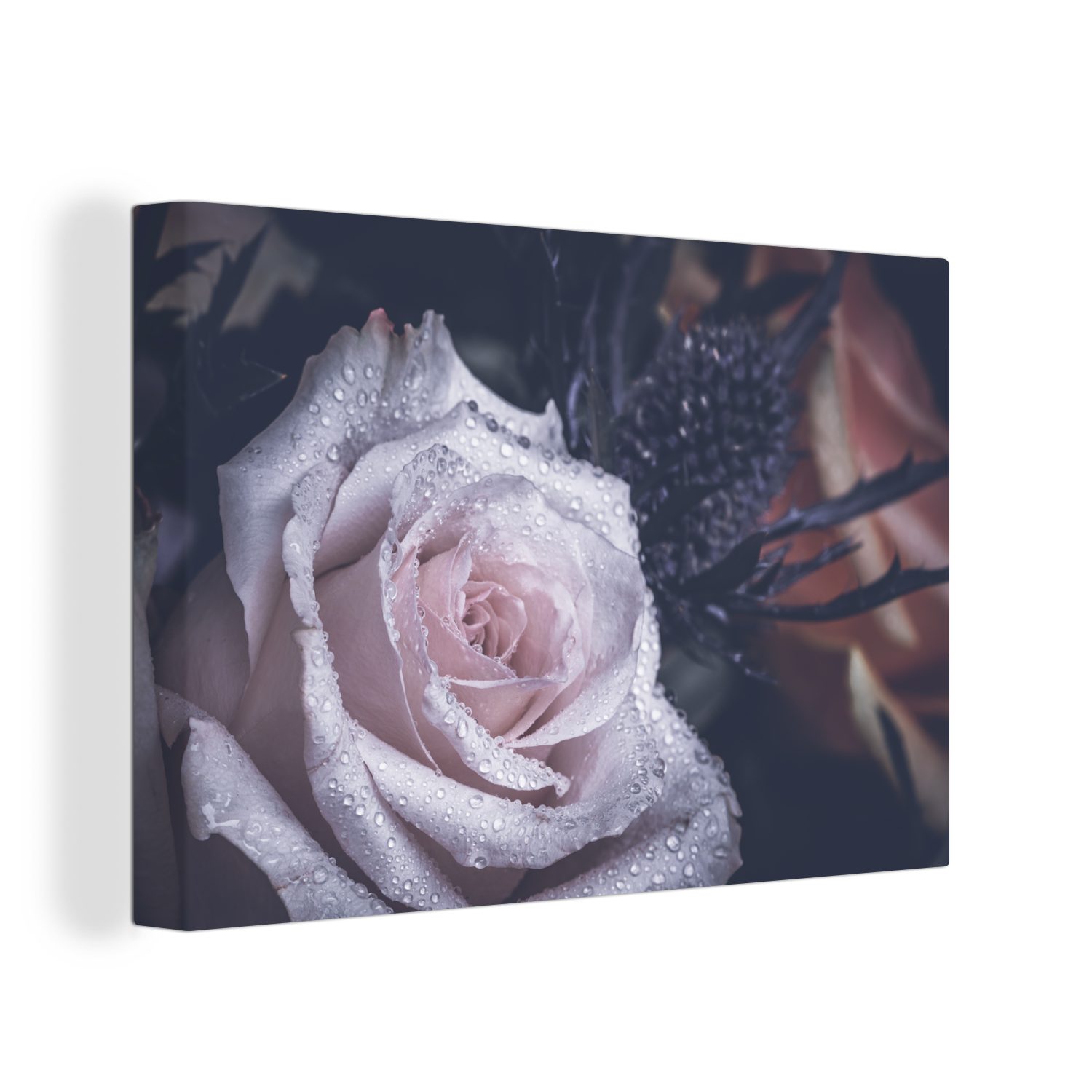 OneMillionCanvasses® Leinwandbild Rose - Wasser - Weiß, (1 St), Wandbild Leinwandbilder, Aufhängefertig, Wanddeko, 30x20 cm