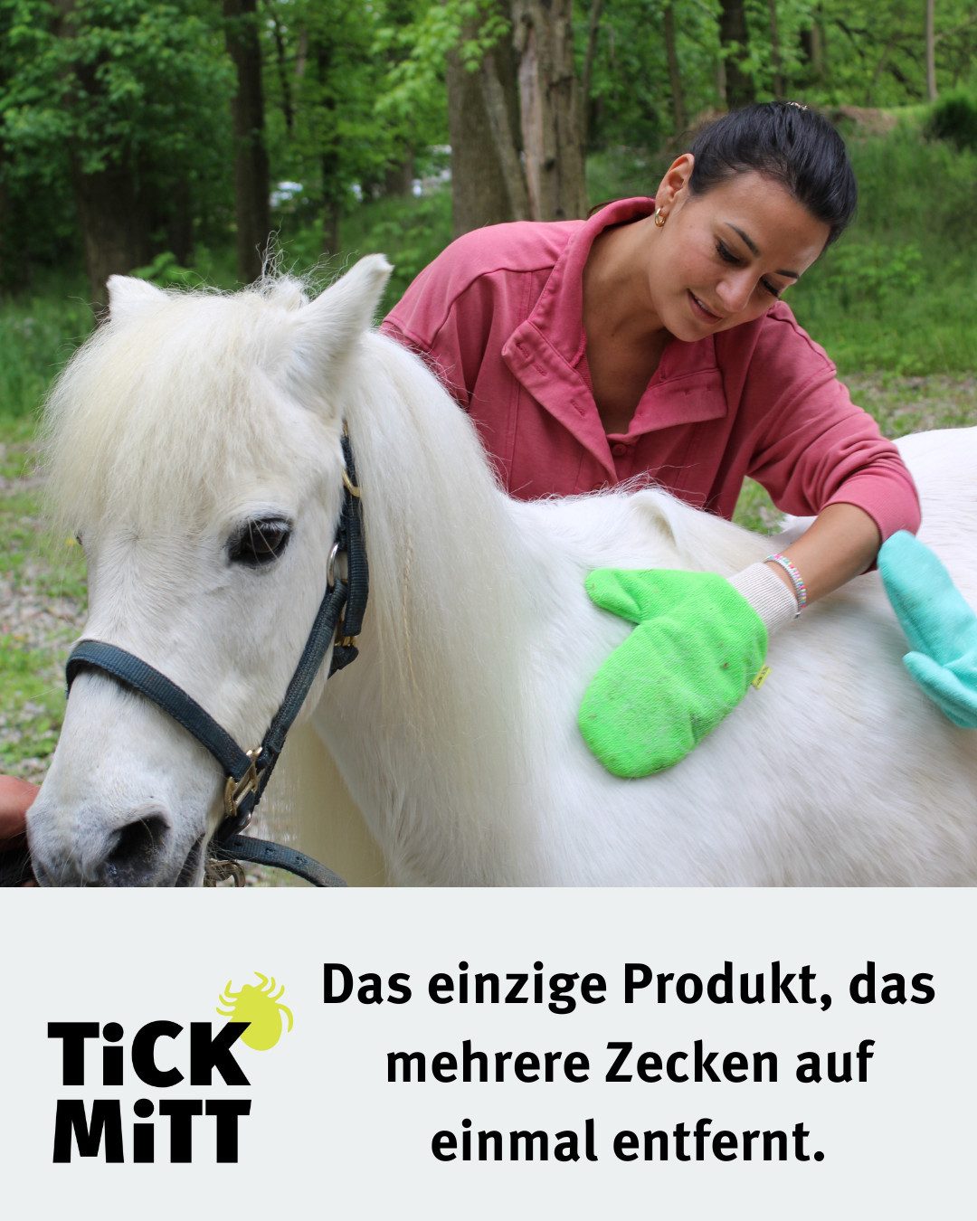 TiCK MiTT Zeckenschutzmittel Zeckenhandschuh - Alternative zum Zeckenhalsband für Hunde / Katzen, Wiederverwendb. Zecken-Handschuh für Mensch & Tier