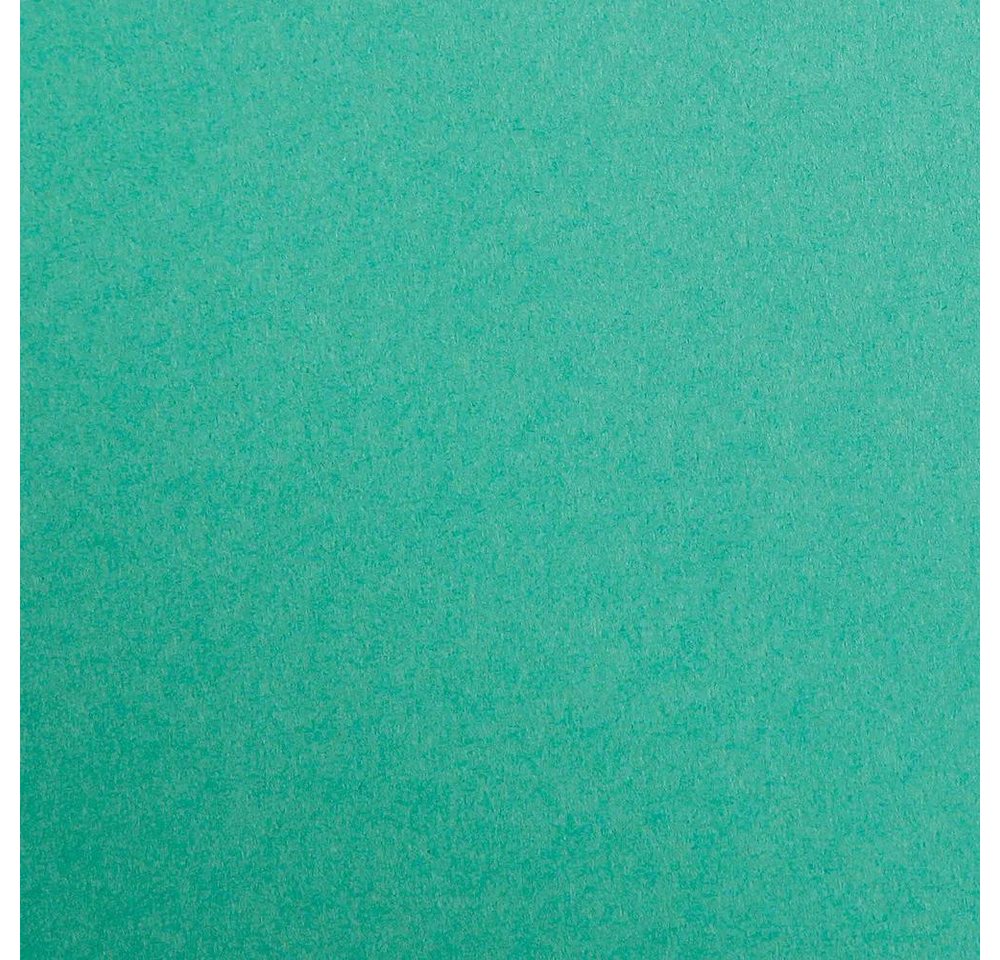 Thumbnail - CLAIREFONTAINE Fotopapier Maya Fotokarton 270g A3 25 Bogen - Tannengrün 48051C, Bögen Clairefontaine
