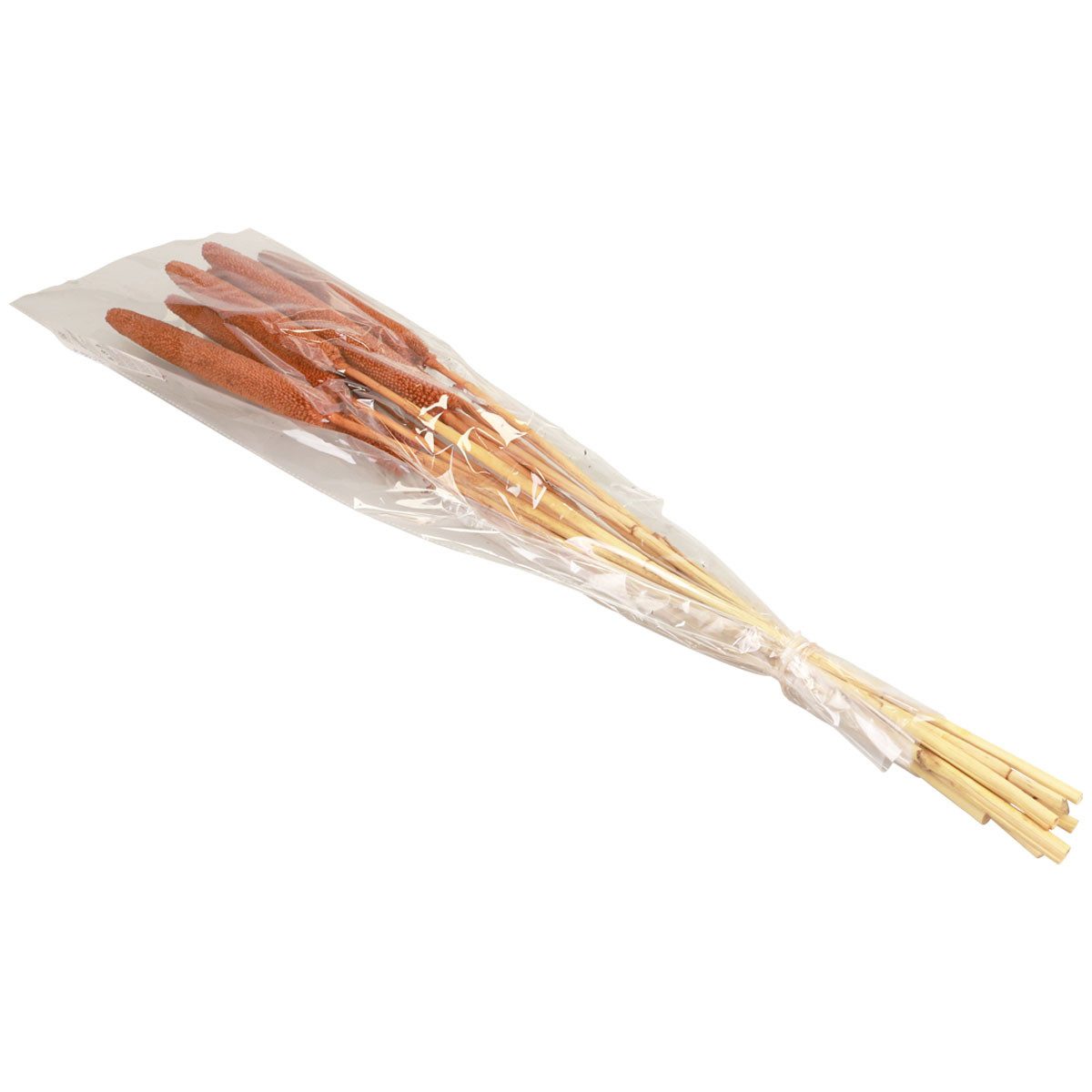 Trockenblume Dekorative Kolbenhirse für Trockenfloristik und Gedenkgestecke, 10 St, DIJK, Höhe 3 cm