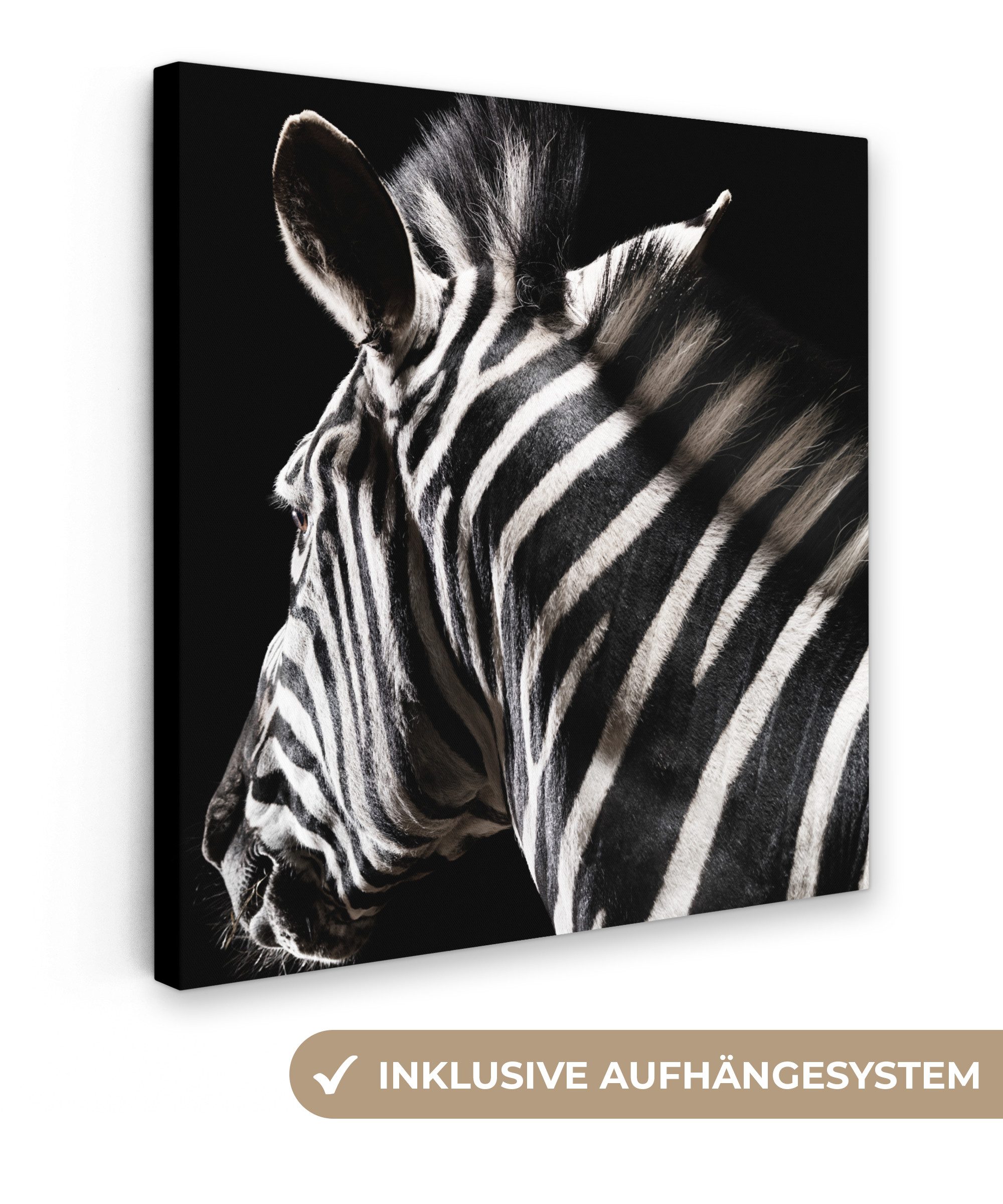 OneMillionCanvasses® Leinwandbild Zebra - Wilde Tiere günstig online kaufen