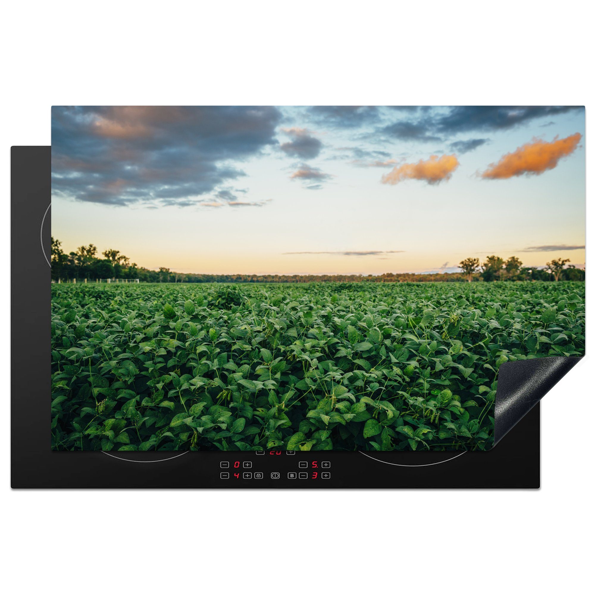 MuchoWow Herdblende-/Abdeckplatte Getreidefeld mit Sonnenaufgang in Nebraska, Vinyl, (1 tlg), 81x52 cm, Induktionskochfeld Schutz für die küche, Ceranfeldabdeckung