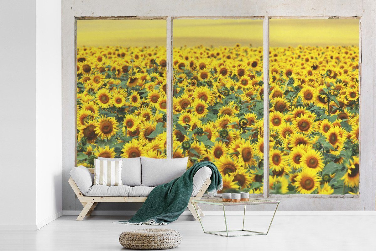 MuchoWow Fototapete Transparent - Sonnenblume - Gelb, Matt, bedruckt, (6 St), Wallpaper für Wohnzimmer, Schlafzimmer, Kinderzimmer, Vinyl Tapete