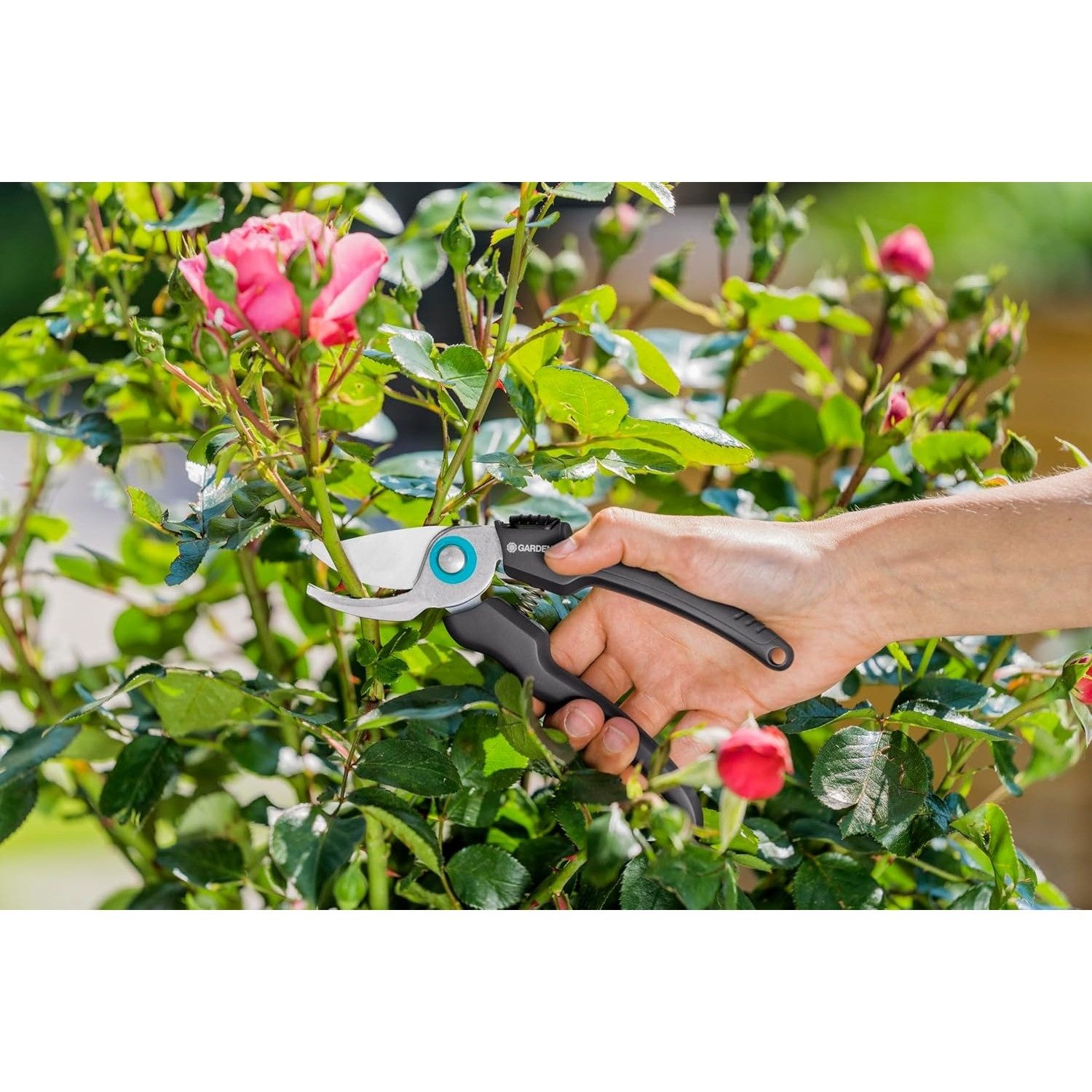 GARDENA Gartenschere EcoLine Gartenschere Pflanzenschere mit Bypass-Schneide - 18 mm