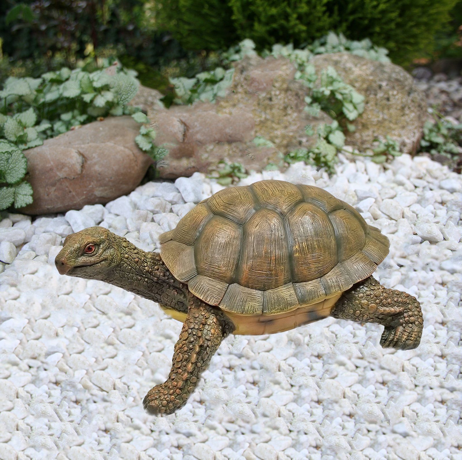 Fachhandel Gartendeko lebensechte Schildkröte Plus St), (1 Agathe, Gartenfigur