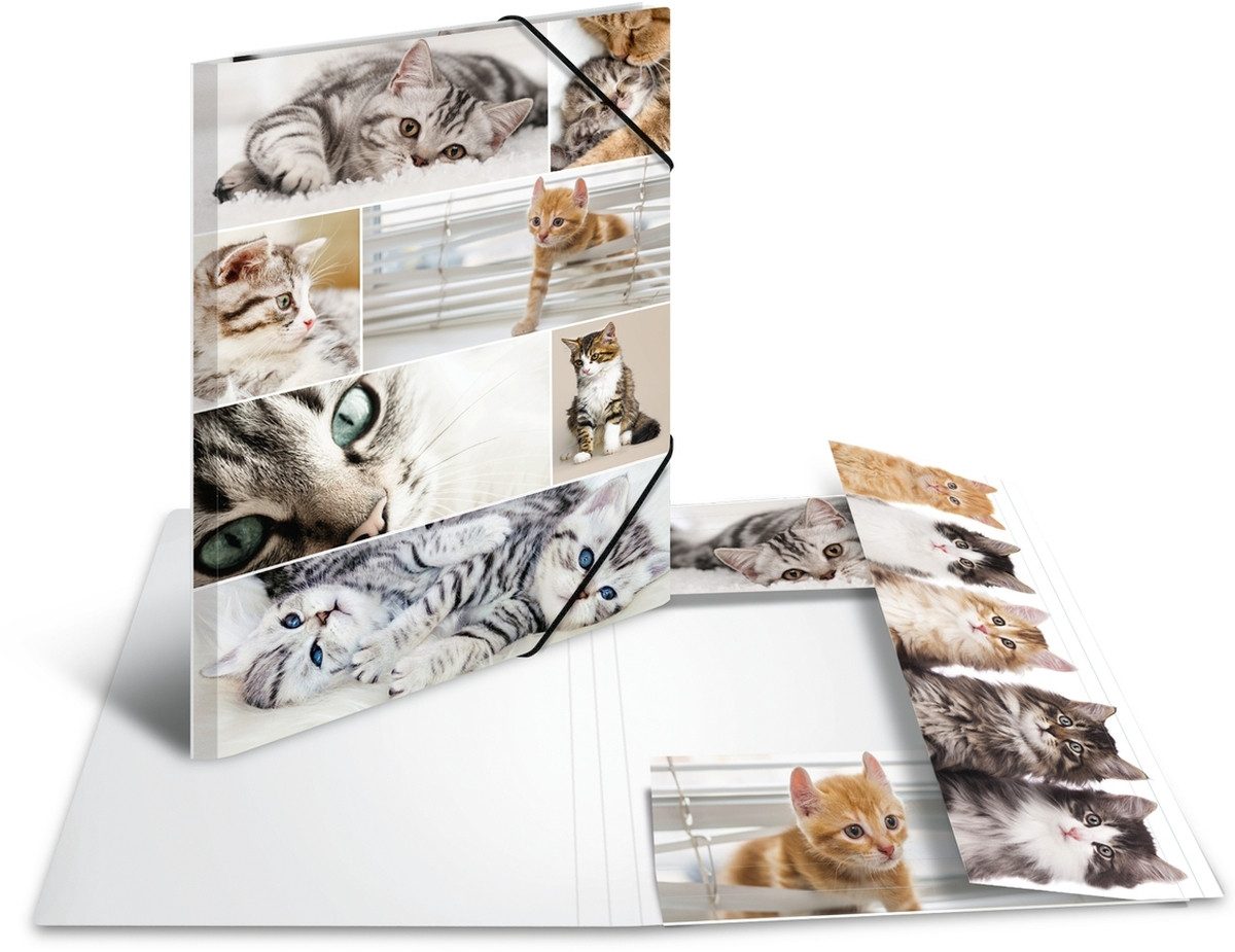 HERMA Fächermappe Sammelmappe A3 Pappe Katzen (3 Stück)