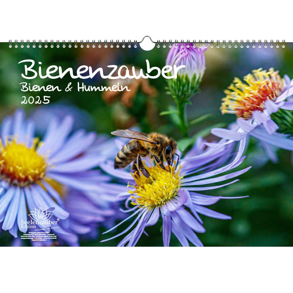 Seelenzauber Wandkalender Bienenzauber Bienen und Hummeln DIN A3
