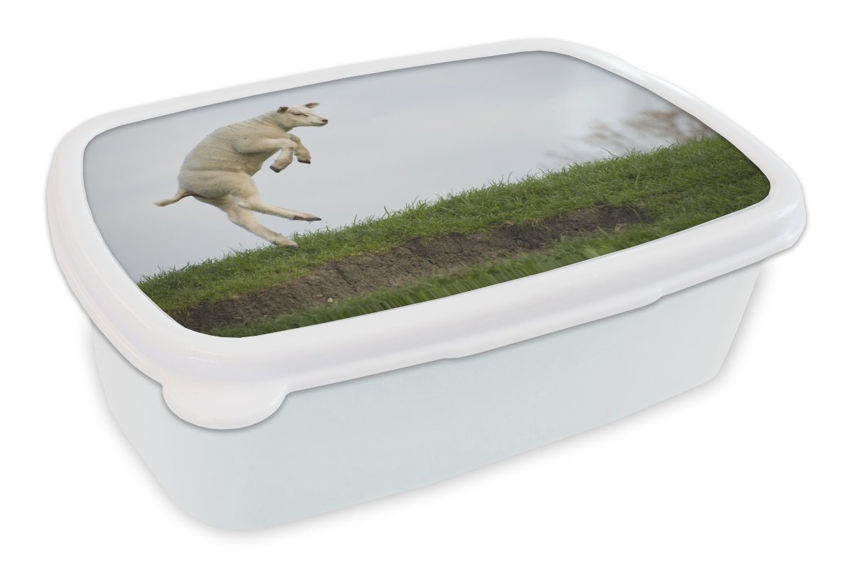 MuchoWow Lunchbox Schafe - Gras - Frühling, Kunststoff, (2-tlg), Brotbox für Kinder und Erwachsene, Brotdose, für Jungs und Mädchen weiß