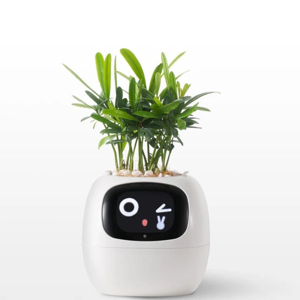 Tuya Blumentopf Tuya Ivy Smart Planter günstig online kaufen