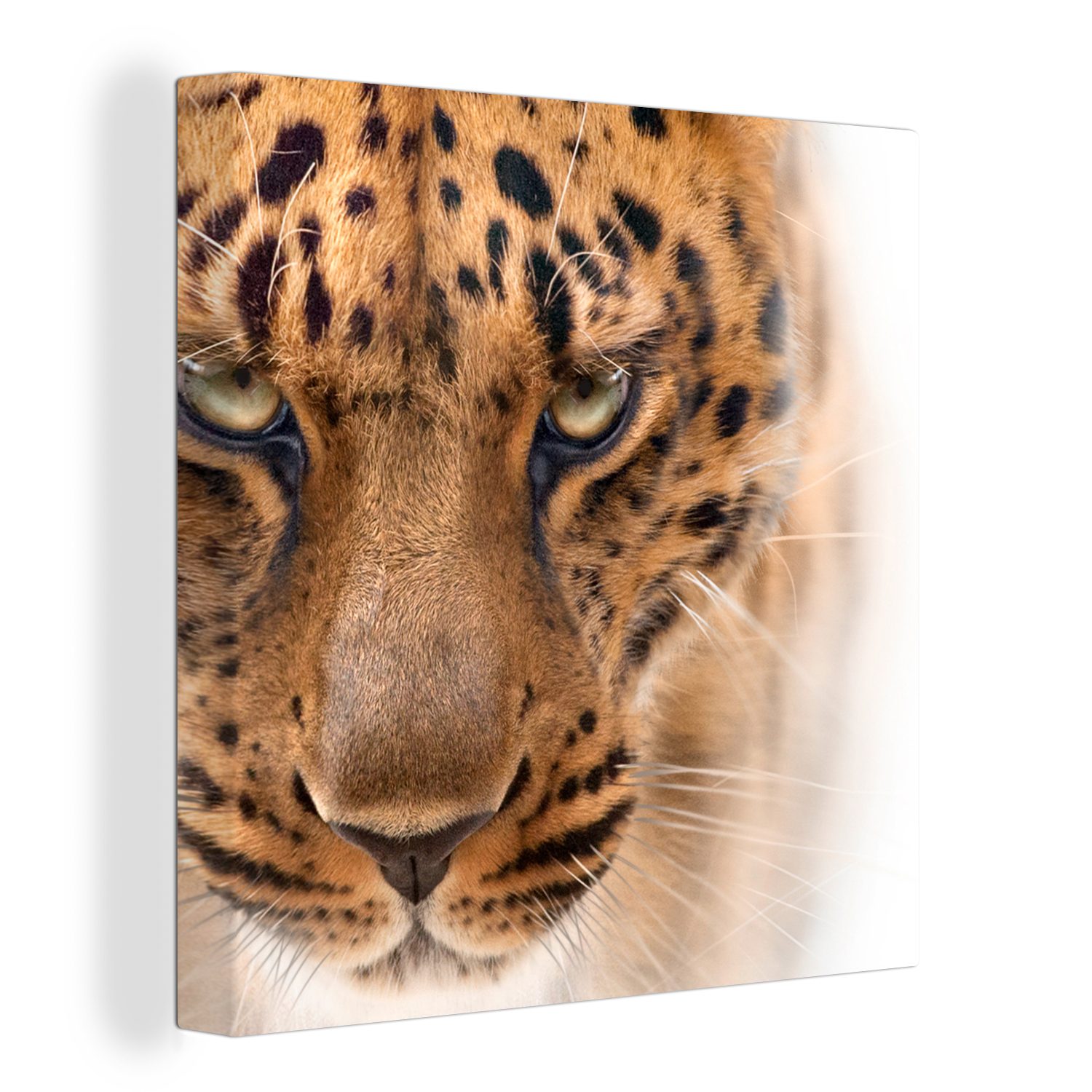 OneMillionCanvasses® Leinwandbild Leopard - Porträt - Augen, (1 St), Leinwand Bilder für Wohnzimmer Schlafzimmer