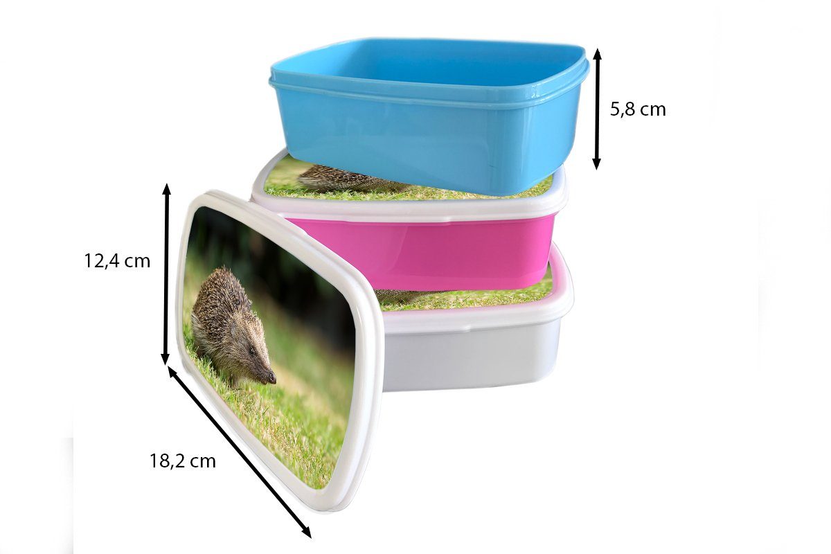 weiß - Lunchbox Gras, Jungs Erwachsene, MuchoWow - und Tiere für Mädchen Kinder Brotdose, und Igel Brotbox (2-tlg), für Kunststoff,