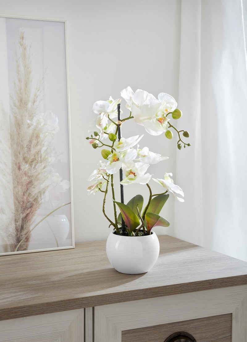 Kunstorchidee Ernestine Orchidee, Home affaire, Höhe 42 cm, Kunstpflanze, im Topf