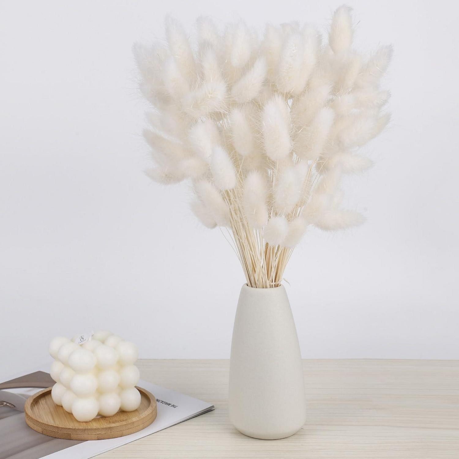 Trockenblume Trockenblumen Pampasgras Weiss 30cm 120Stk, LuxusKollektion, Höhe 10 cm