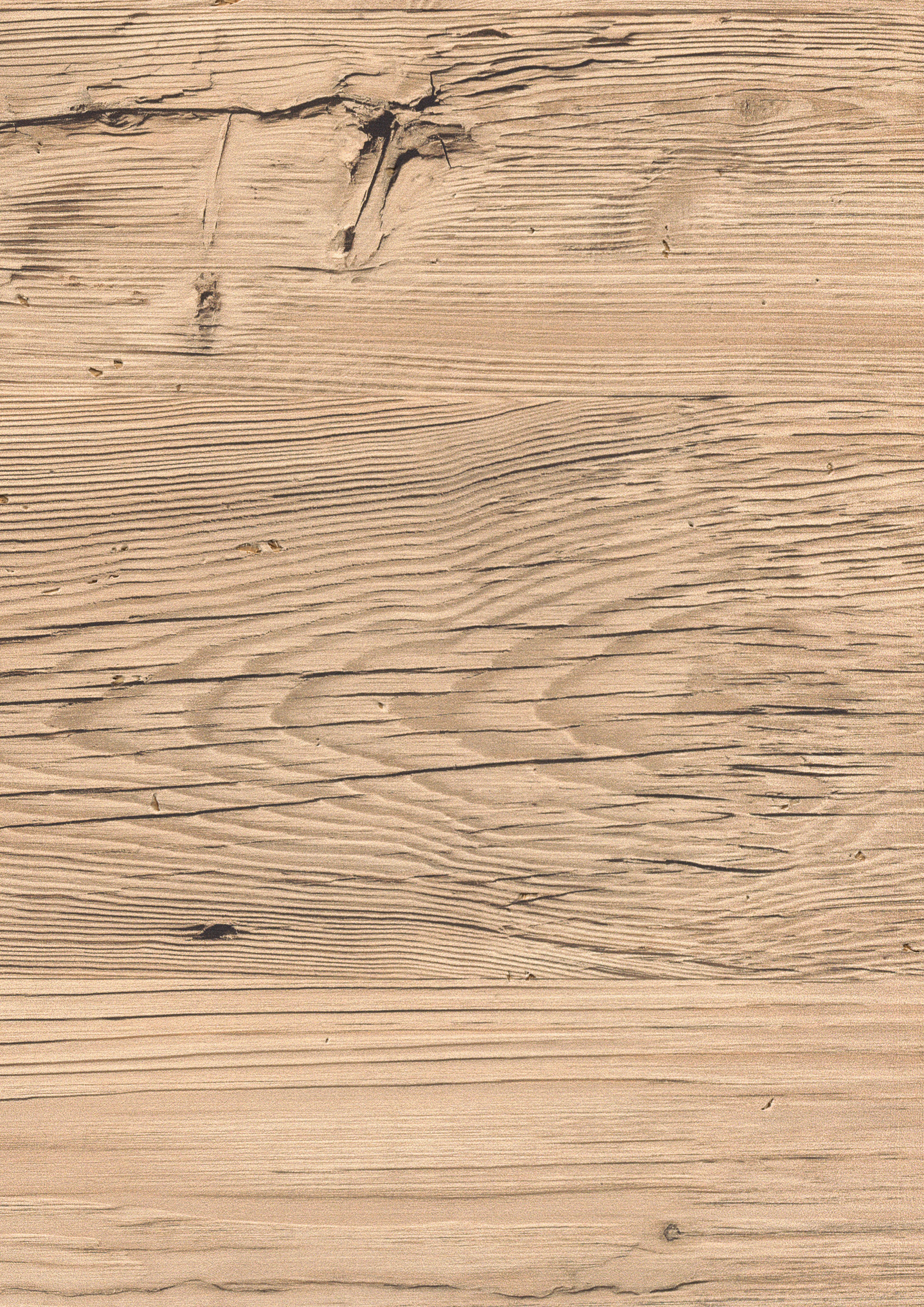 EGGER Wandpaneel EGGER Wandpaneel DecoWall DO006 Namur Fichte hell, 2,48m² günstig online kaufen