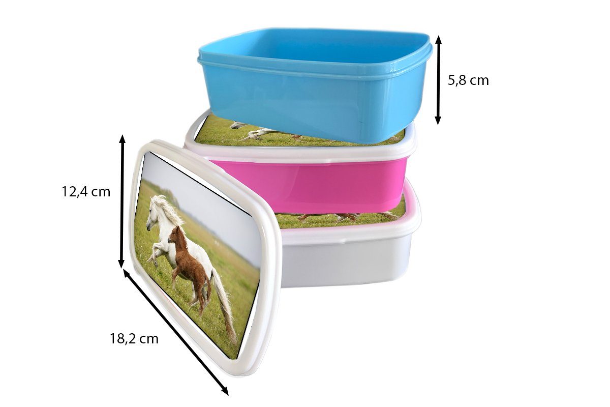 Erwachsene, und Lunchbox Tiere Brotdose, für weiß Pferde Gras, Mädchen für Jungs (2-tlg), MuchoWow Kinder und Kunststoff, - Brotbox -